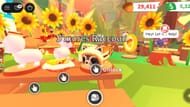 S'mores Raccoon pet (Image via Roblox)