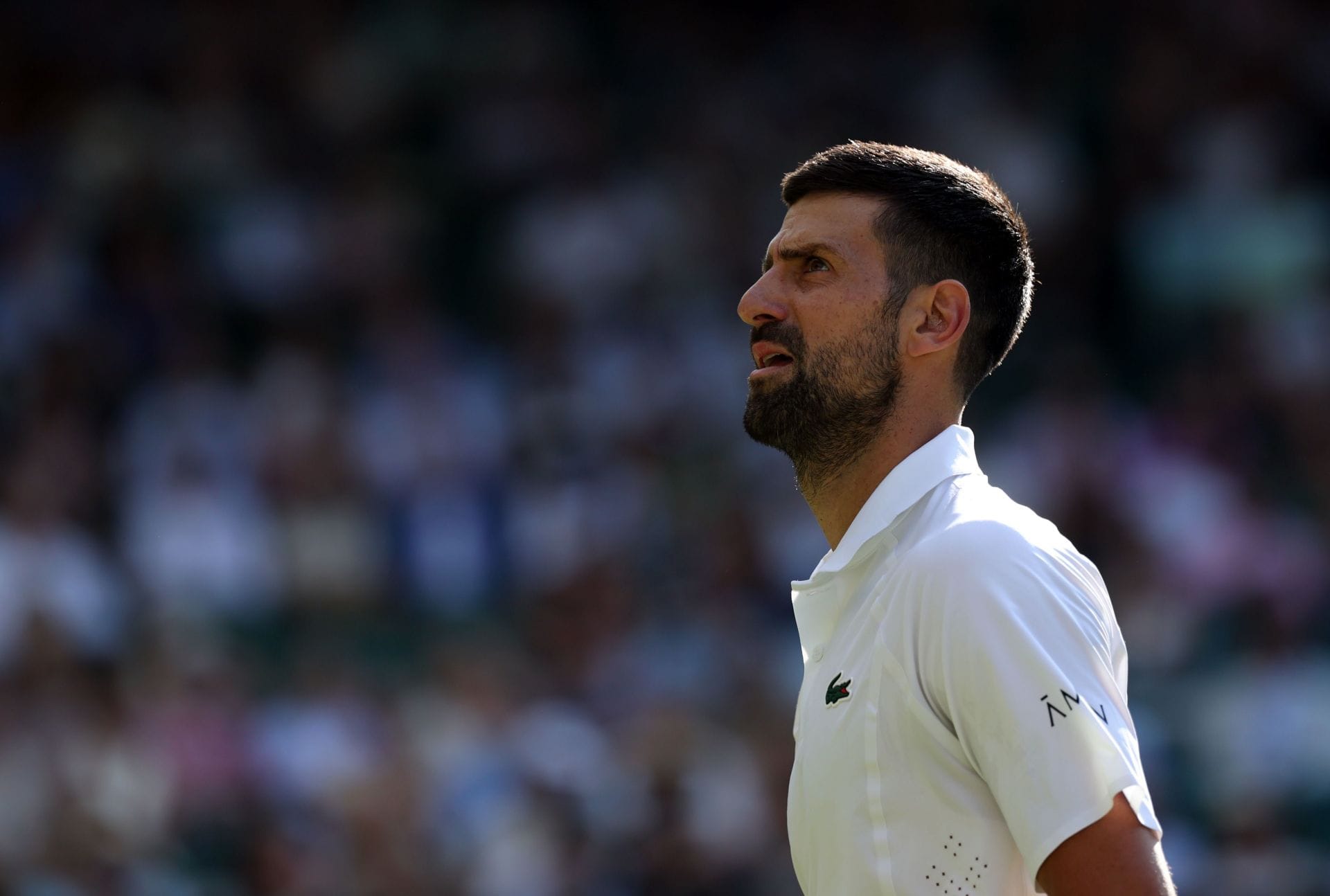 "Novak Djokovic is faking", "Disgusting" - Fans accuse Serb after sudden MTO during Wimbledon QF vs Felix Auger-Aliassime