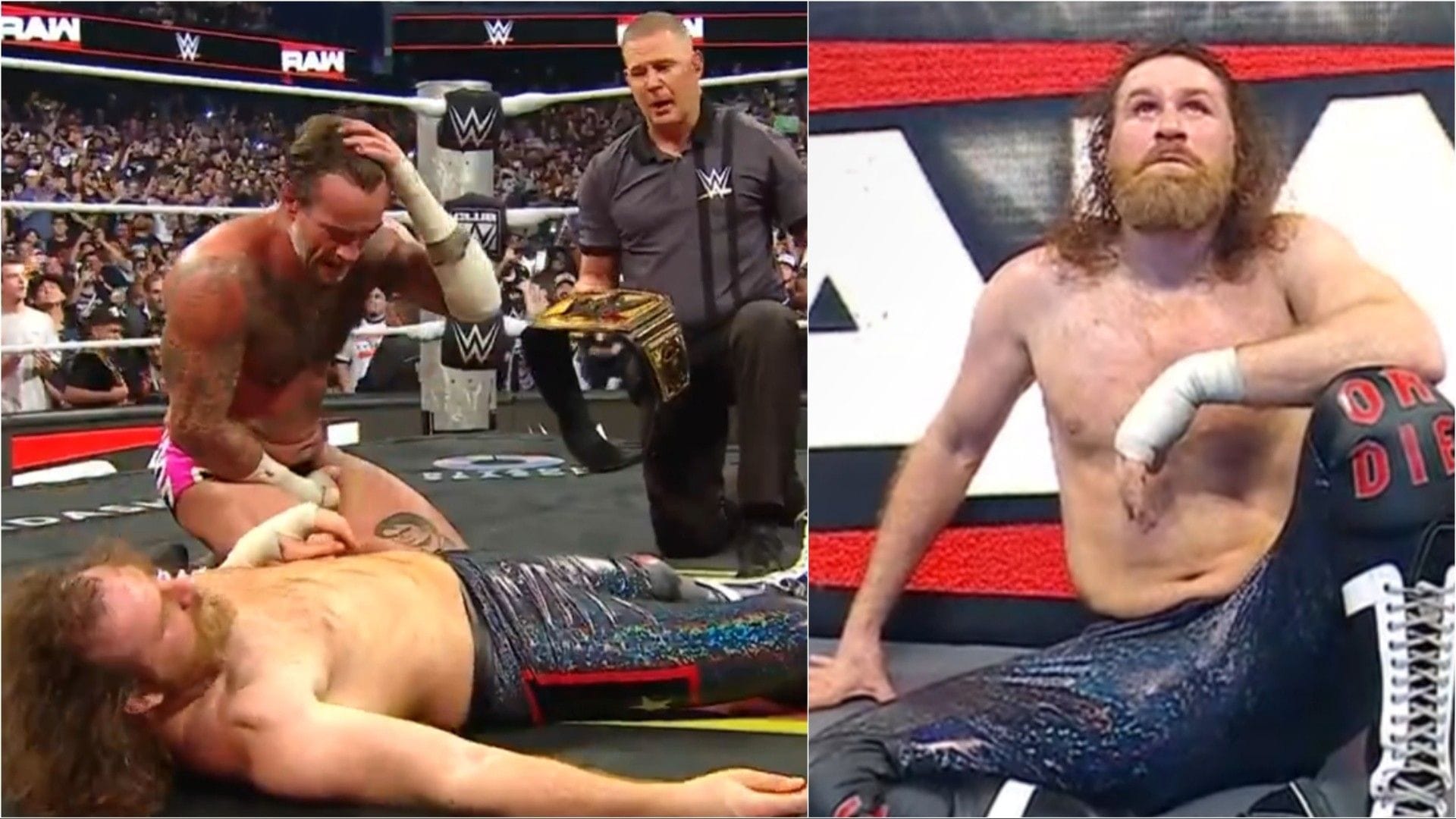 Ex-WWE Employee Frustrated at the Treatment of Sami Zayn