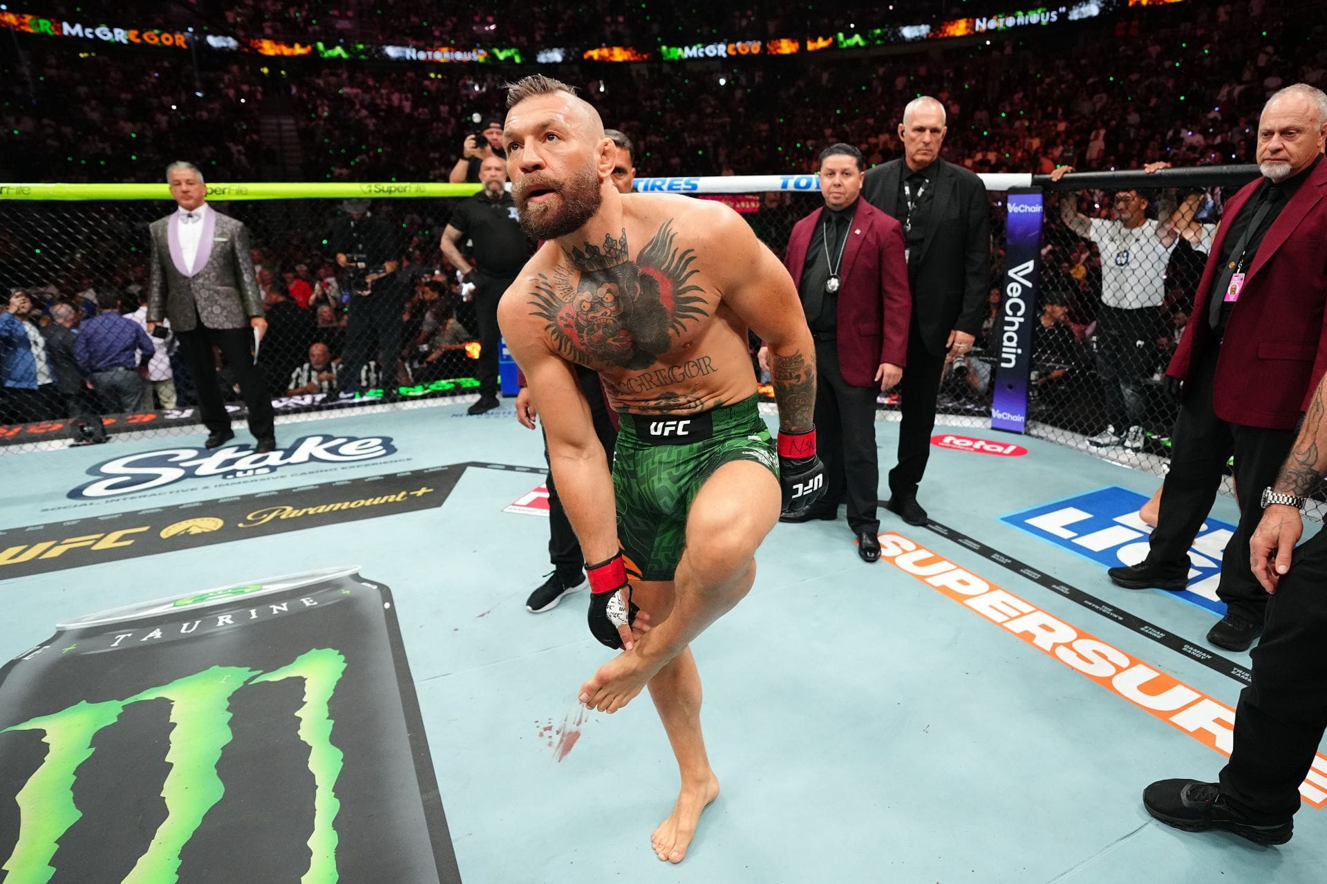 5 Dream Matches for Conor McGregor in WWE Following UFC Debacle