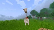 The Long Horse up close (Image via Mojang Studios || YouTube/@LookOut2DD)