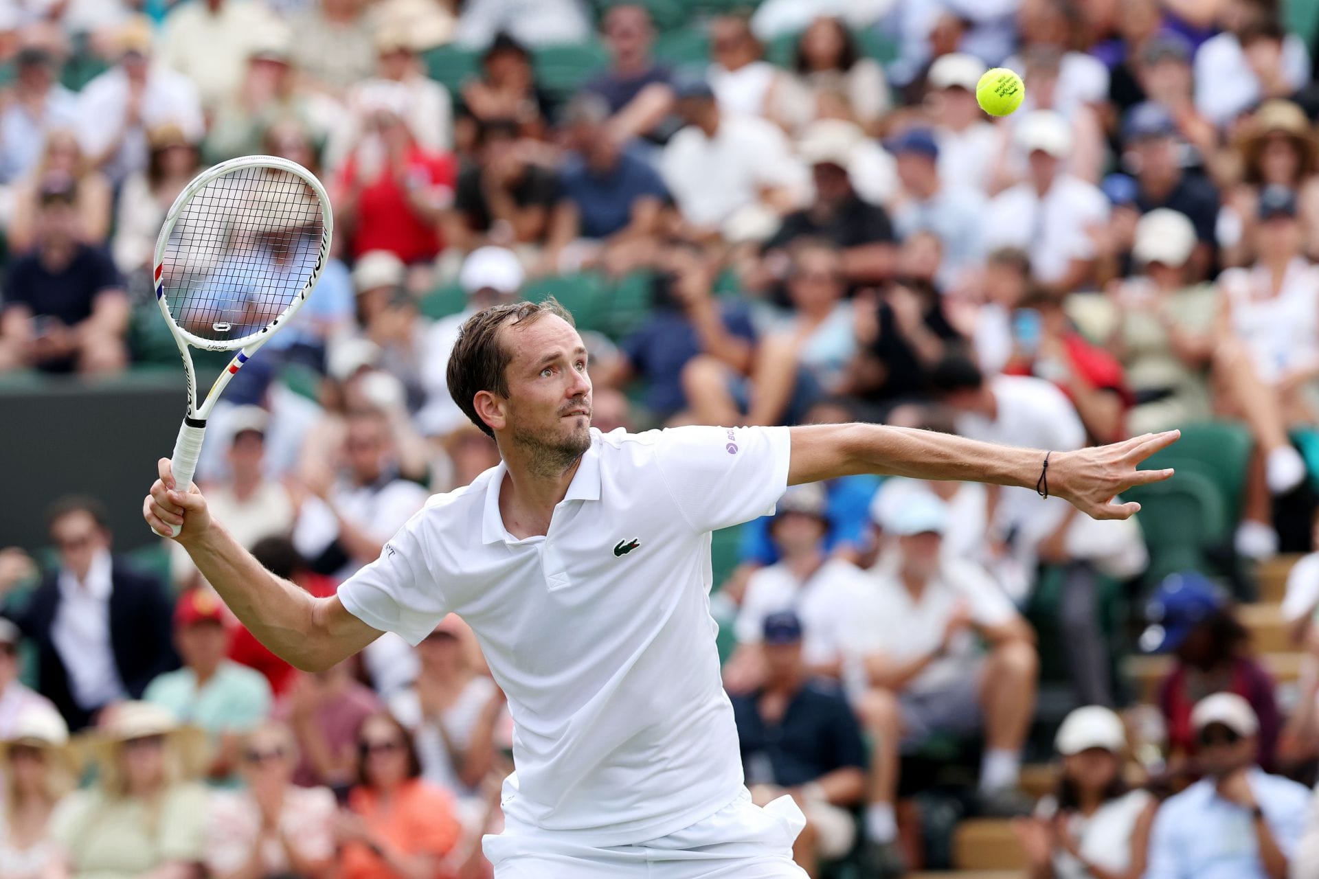 Medvedev em Wimbledon 2026 (fonte da imagem: Getty)