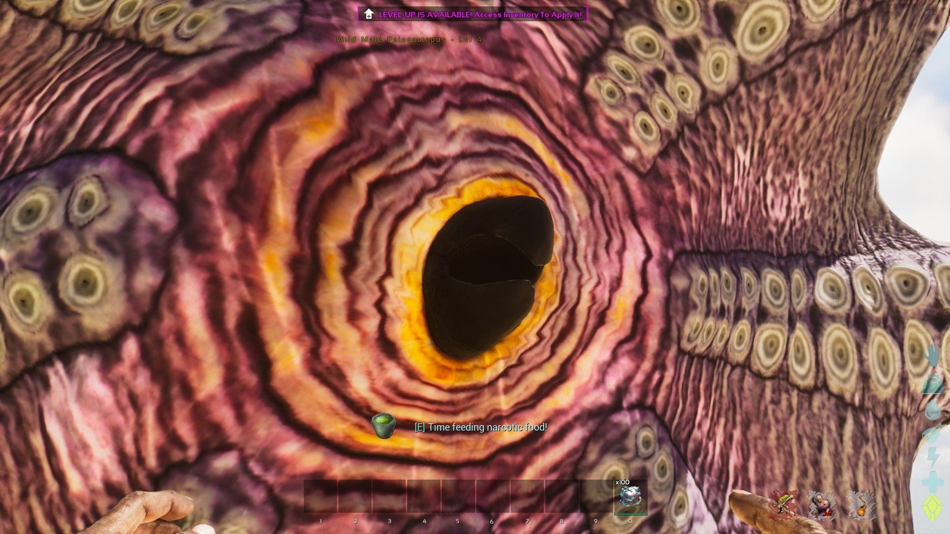 Palaeoctopus puxando você, com a opção de alimentação narcótica na parte inferior (Imagem via Studio Wildcard) 