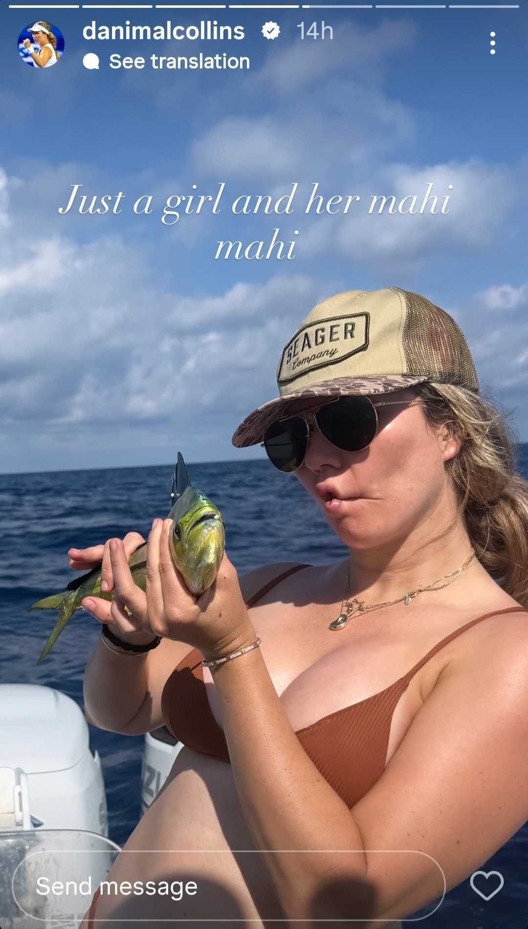História de Danielle Collins no Instagram