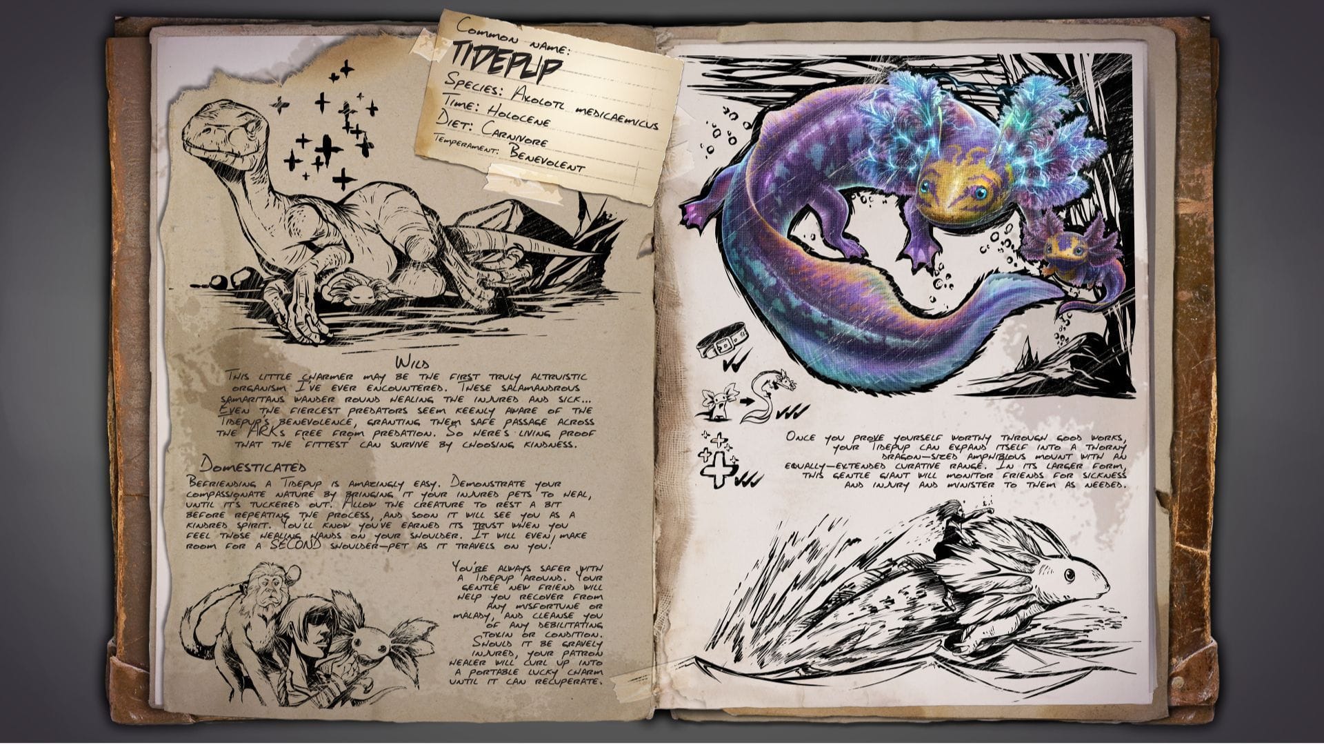 Dossiê Tidepup (imagem via Studio Wildcard || ArkWiki)