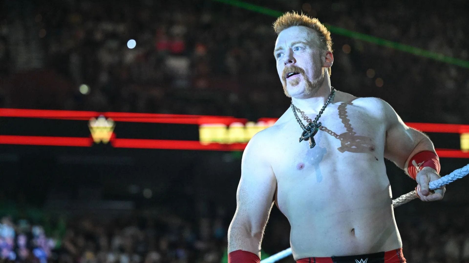 Shocking Sheamus-WWE Exit: "It's A Shame," "Sh*t Happens" - Hall Of Famer Speaks