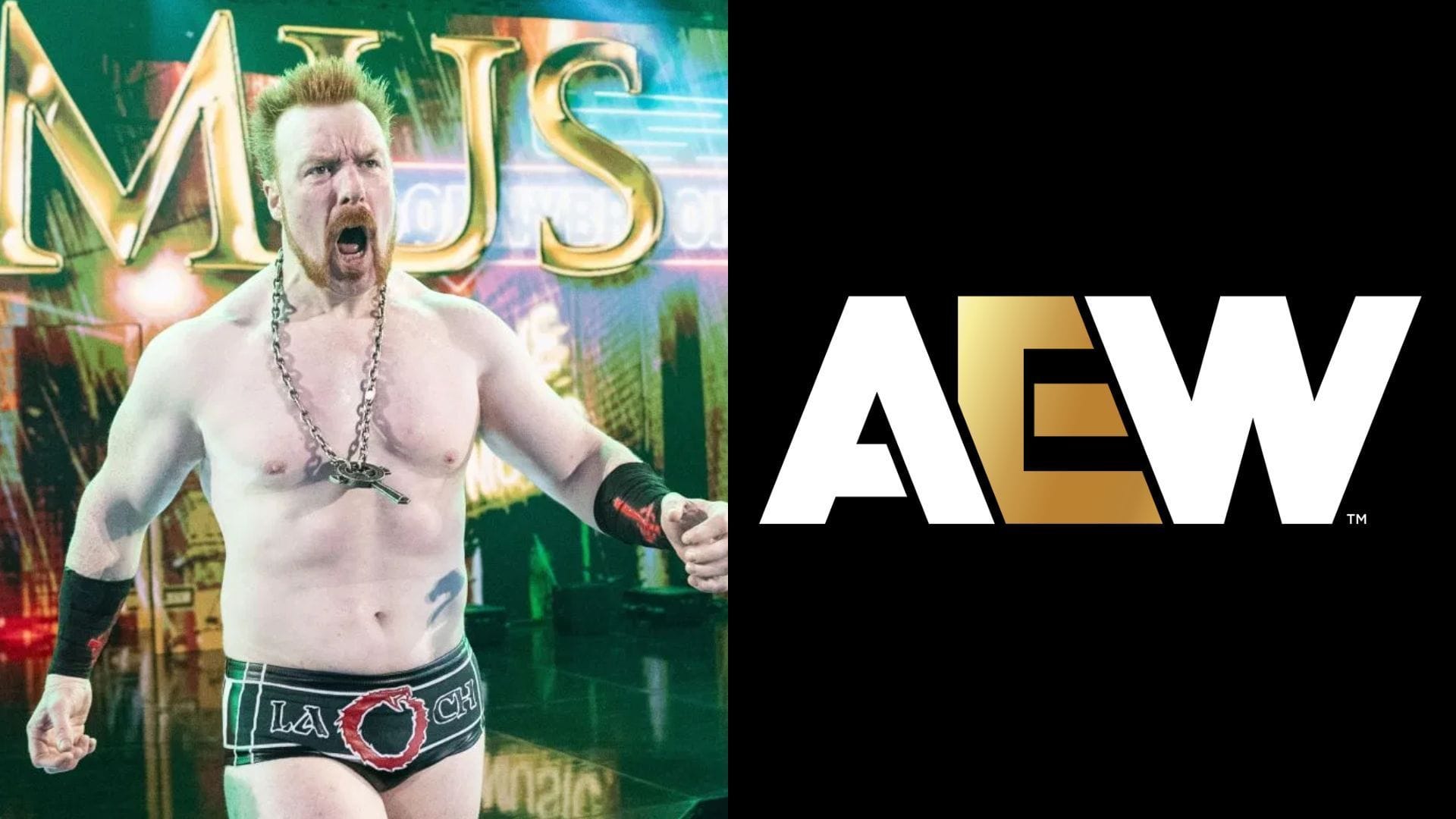 2-time WWE champion urges AEW to immediately hire Sheamus