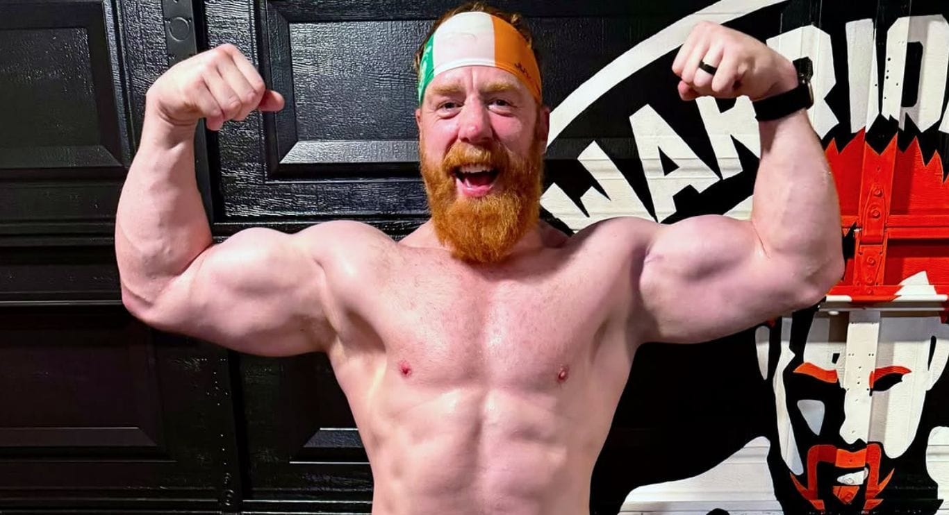 “Guess you just confirmed it,” ”I see what you did there” - Fans go berserk after AEW star takes a shot at Sheamus
