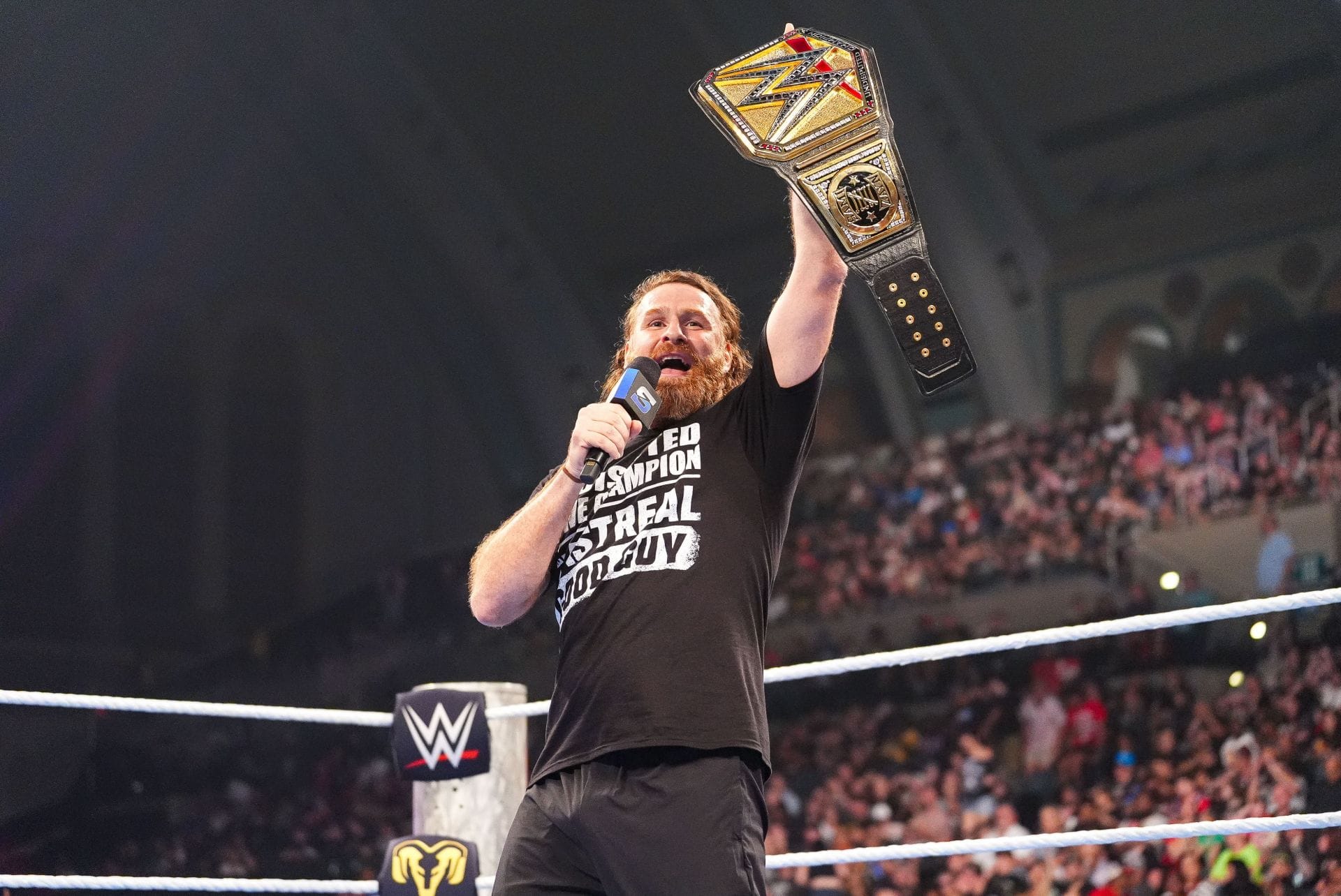 4 Most underutilized WWE title reigns of 2026