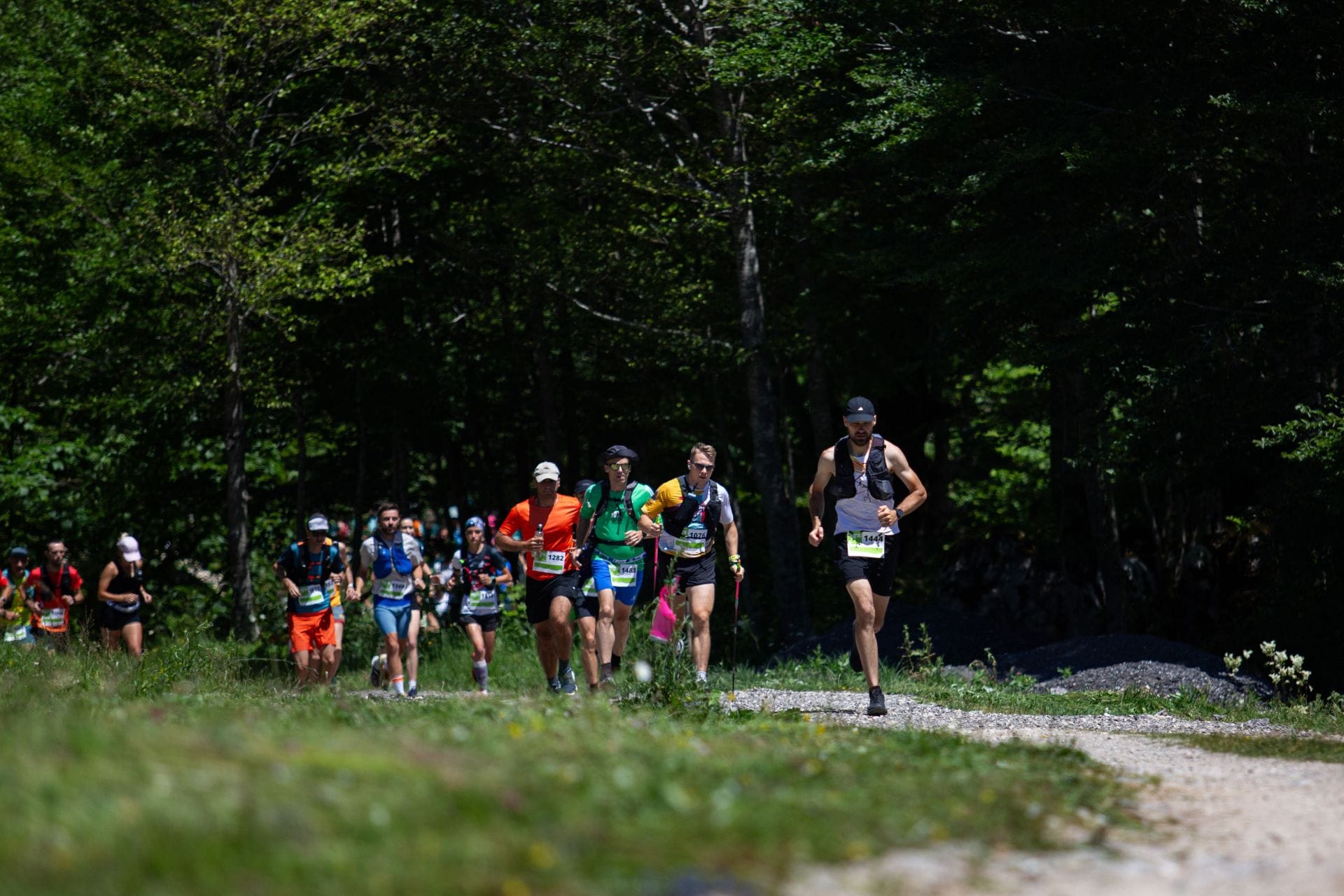 Top 5 Essential Trail Running Gear