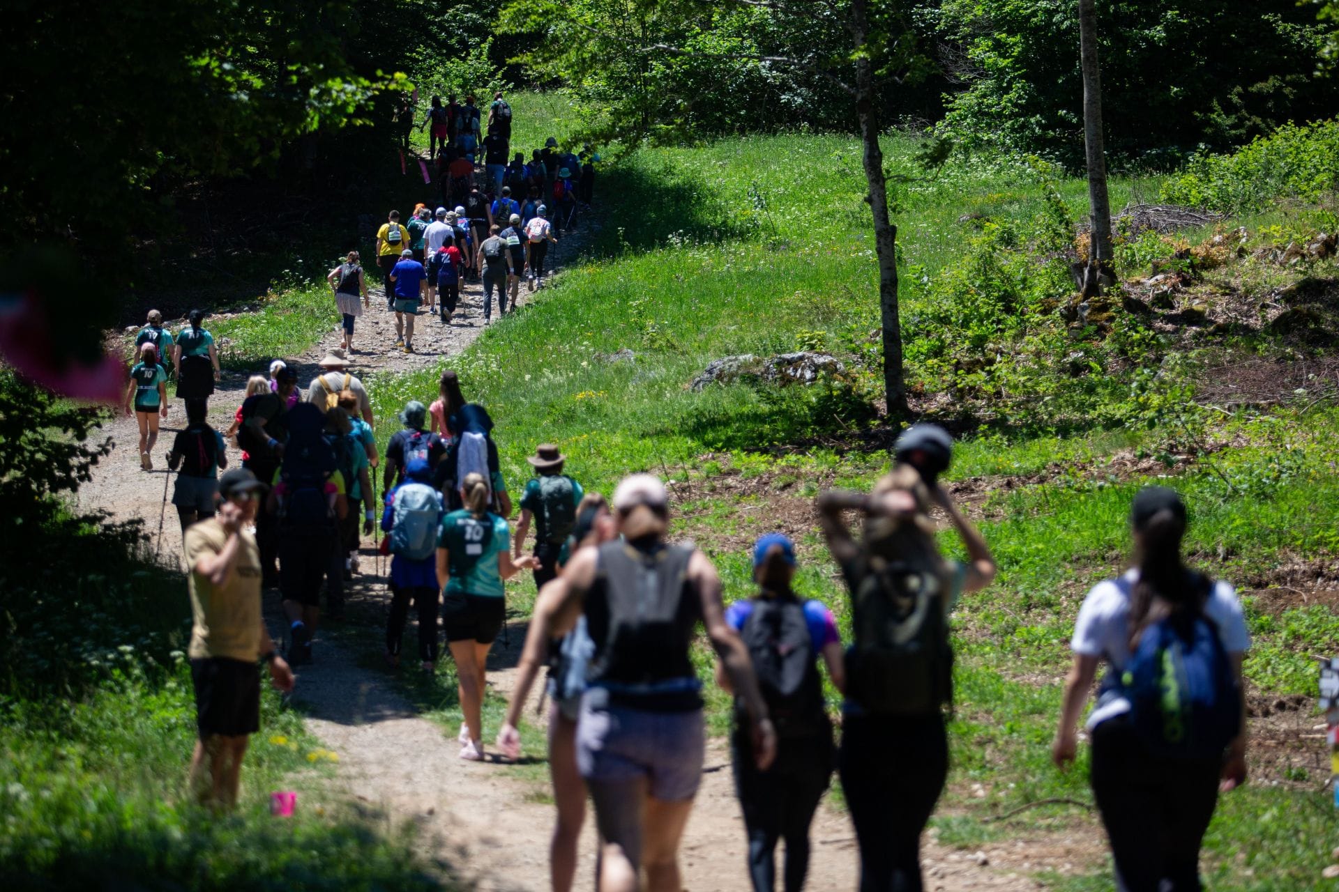 Road Running vs Trail Running: What's the Difference?
