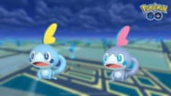 Sobble e sua forma brilhante (Imagem via TPC)