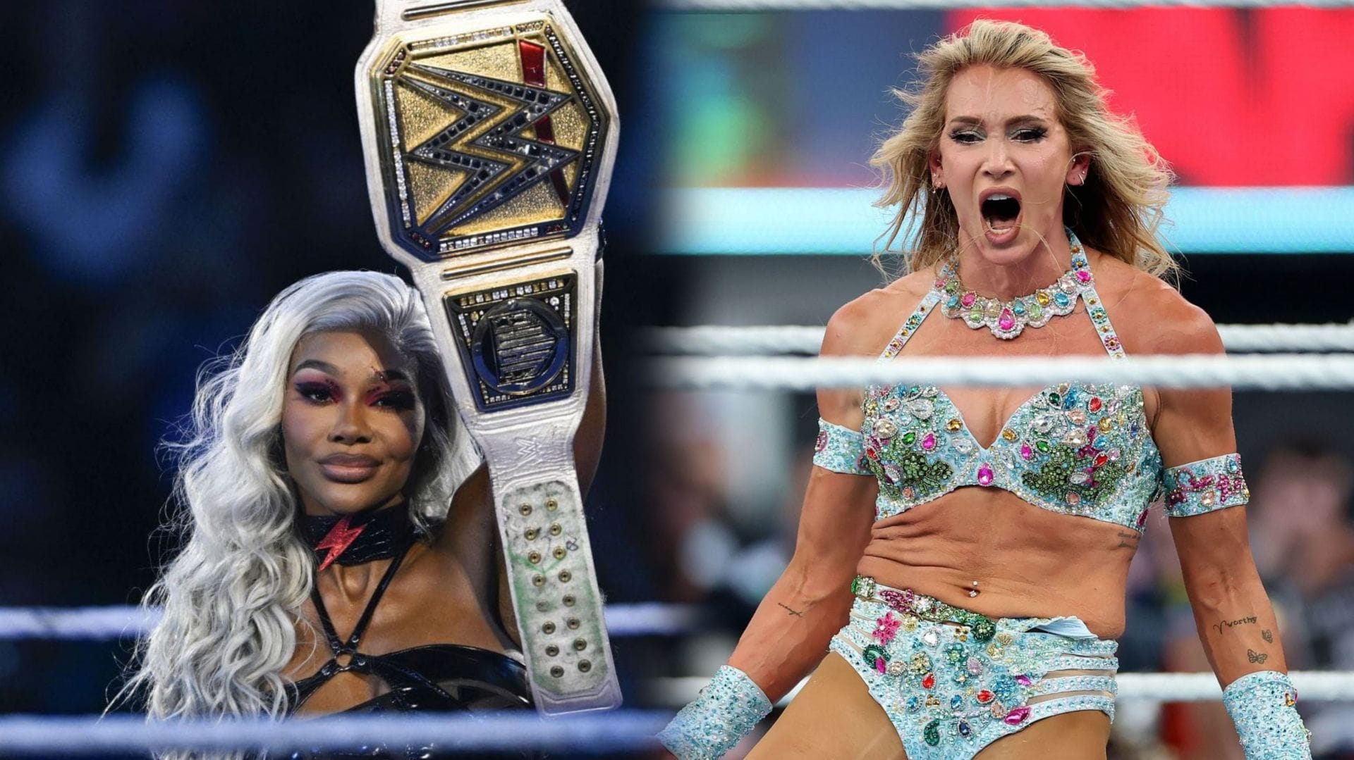 4 Potential Finishes to the Interim WWE Women’s Title Ladder Match at SummerSlam