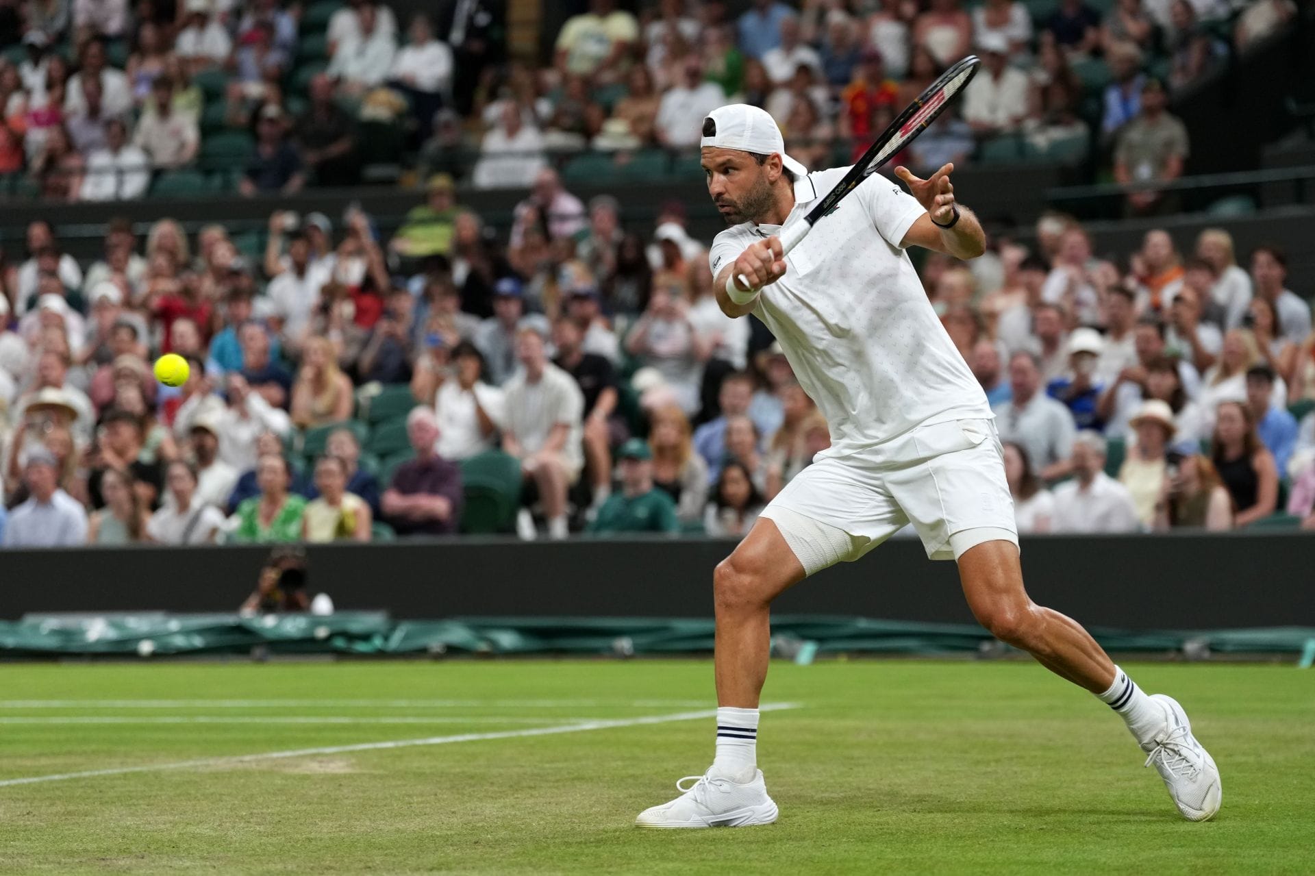 Dimitrov em Wimbledon 2026 (fonte da imagem: Getty)