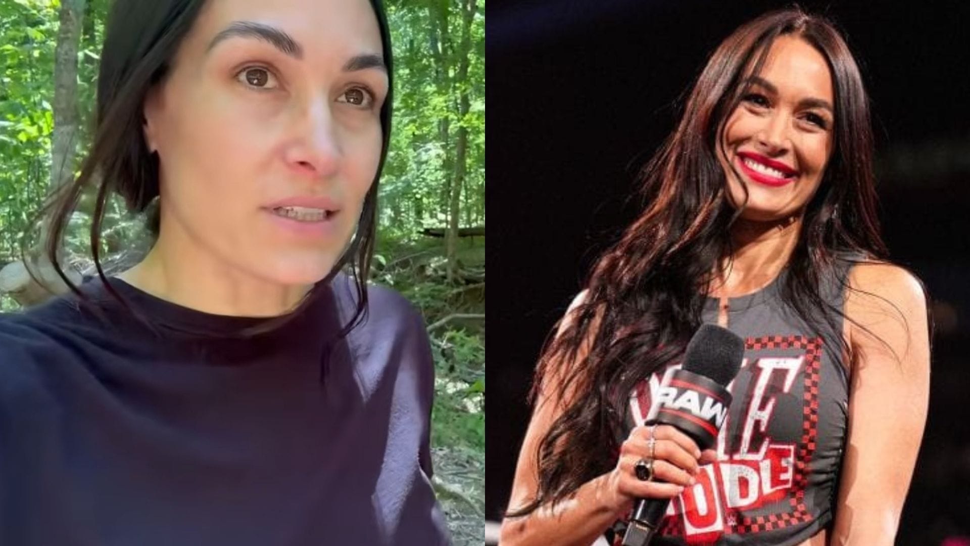 WWE Icon Brie Bella: "We Can Live Without AI"