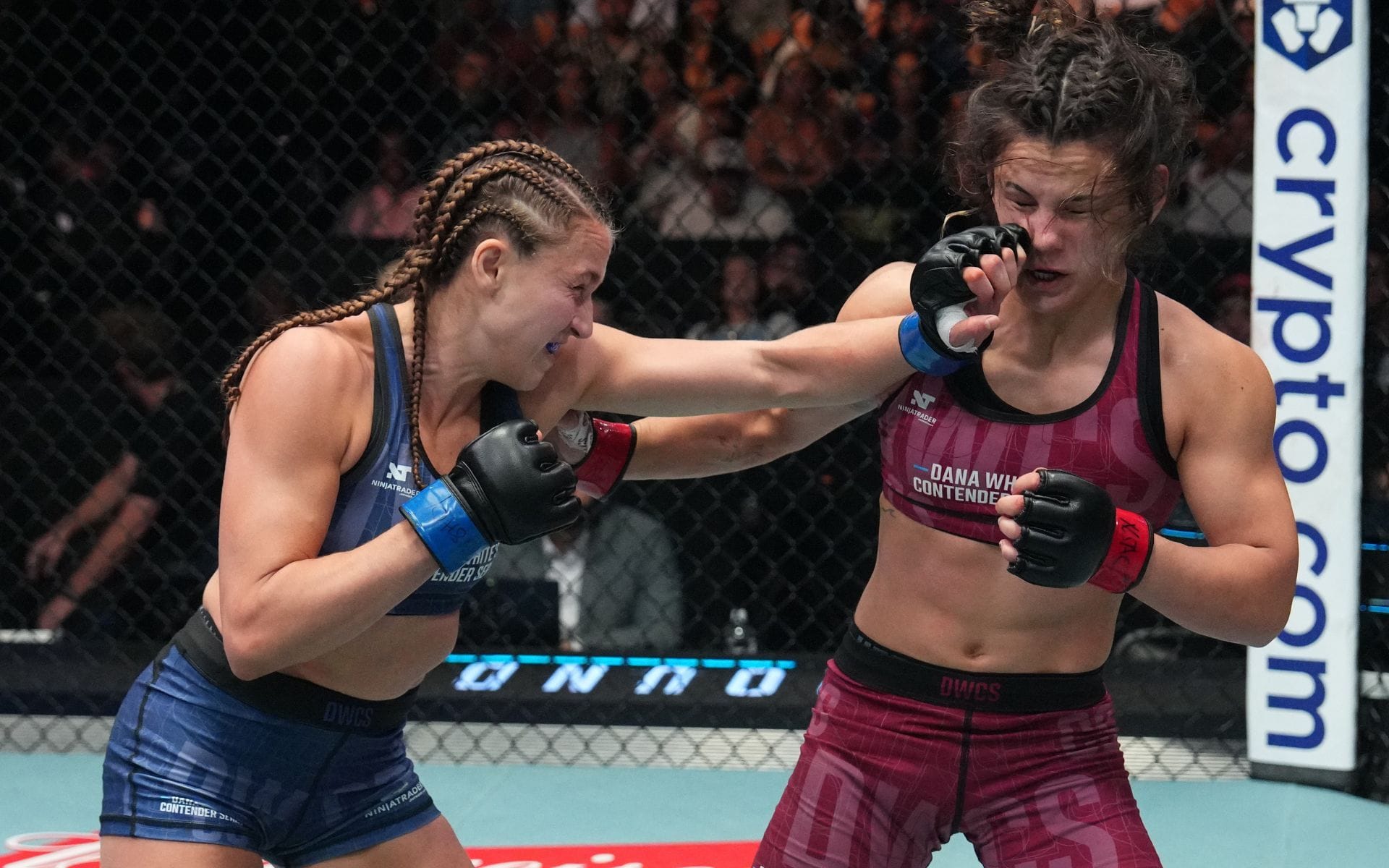 "Firing some judges tonight" - Bella Mir's mom goes on a social media rampage against Alex Apodaca following DWCS upset