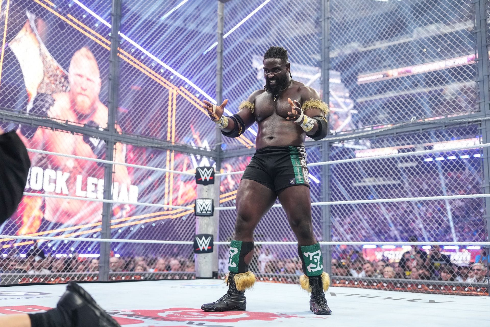 3 Ways WWE Can Avoid Cooling Oba Femi Down After His Victory Over Brock Lesnar