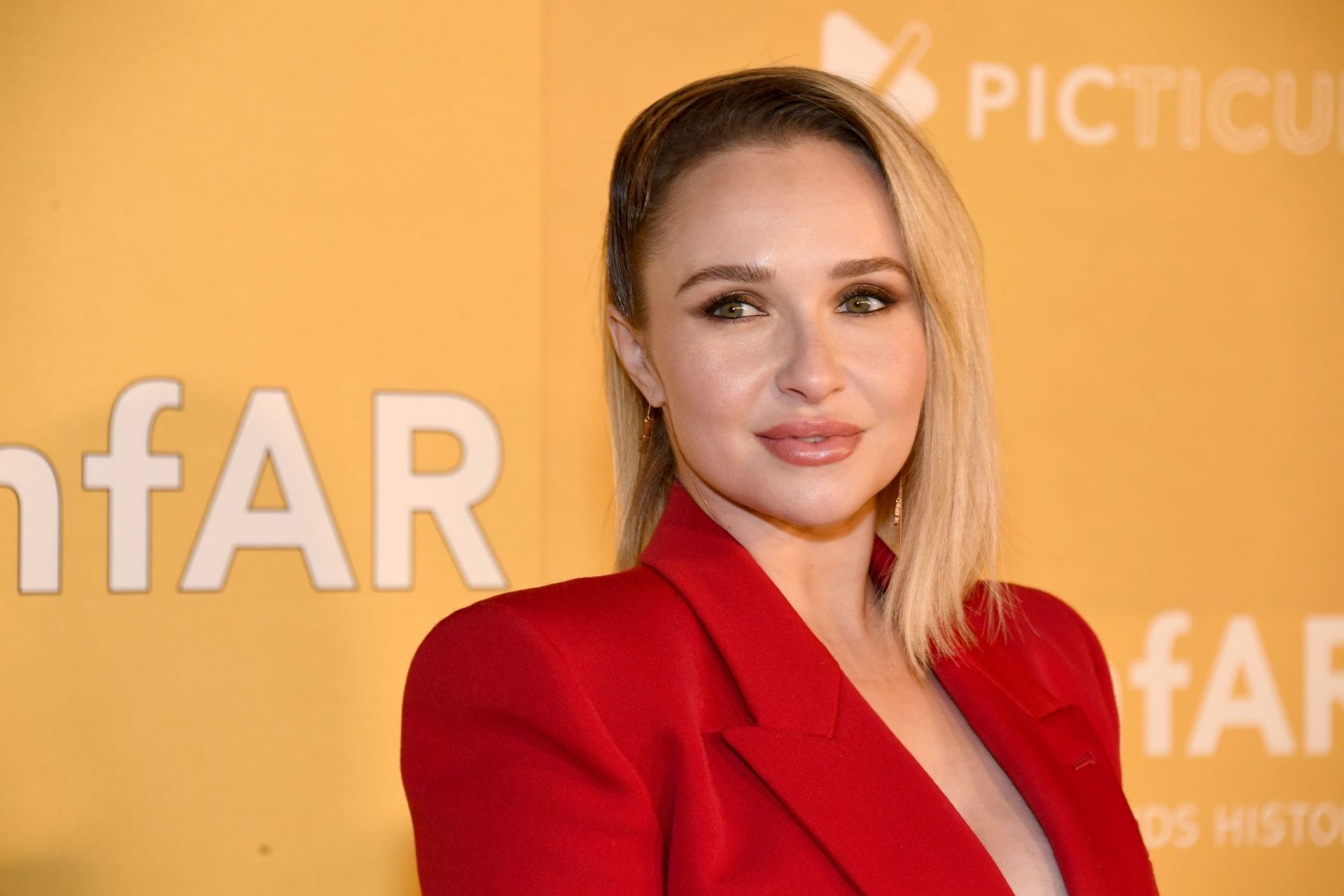 What Was Hayden Panettiere's Net Worth