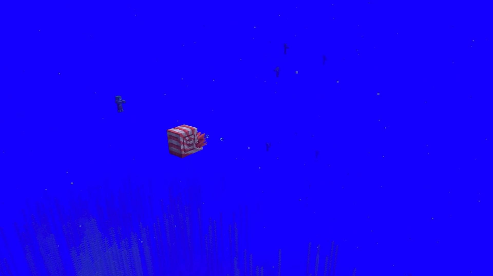 What is the error MC-373144 in Minecraft?