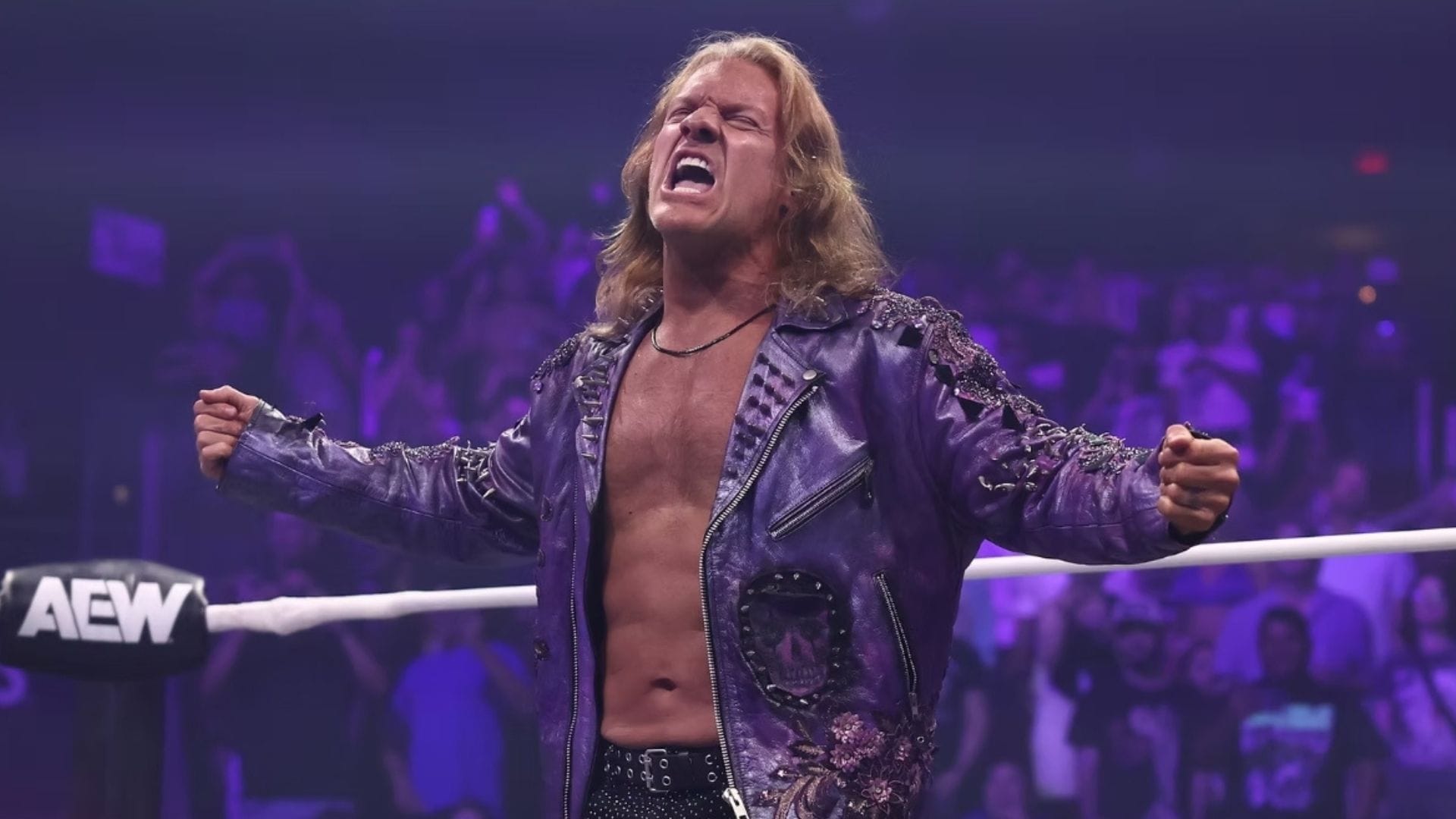 Chris Jericho Wants To Align With Former Heavyweight Champion in AEW; Pitches Tag Team Name