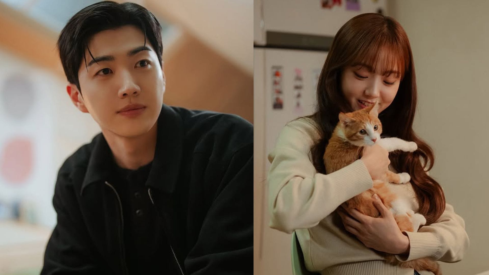 My Bias, My Boss: When will episodes 9-10 release and what to expect