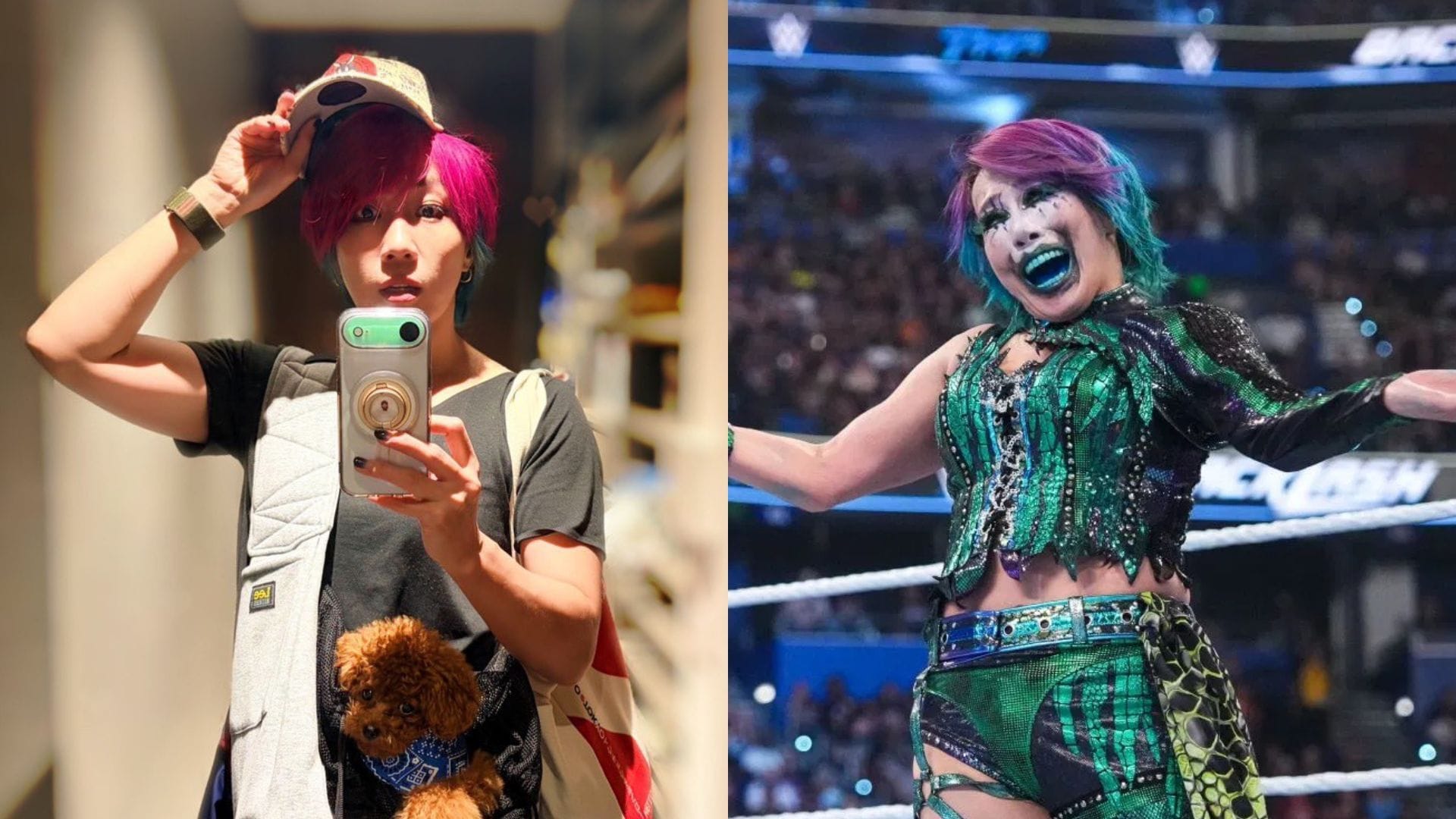 Personal Update: WWE Icon Asuka Amid Absence