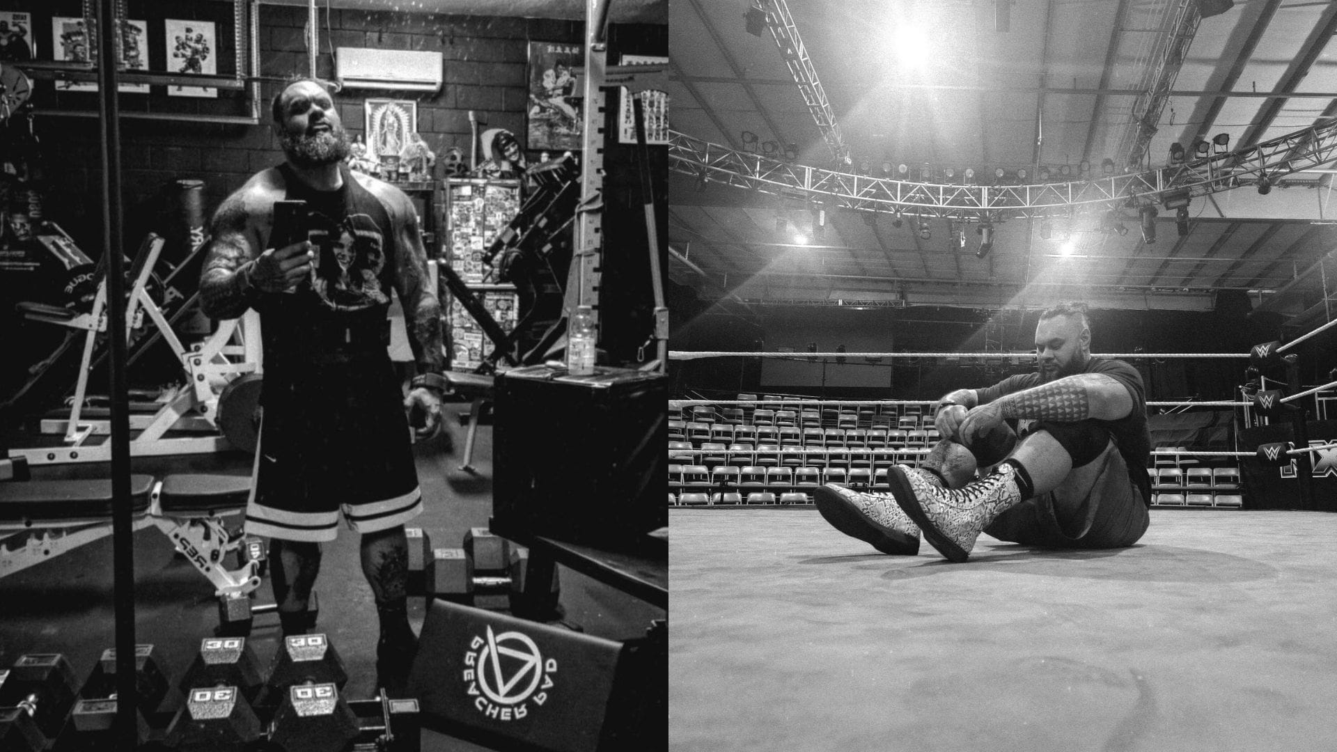 The Return Of Aus-Zilla: Bronson Reed Update - Report