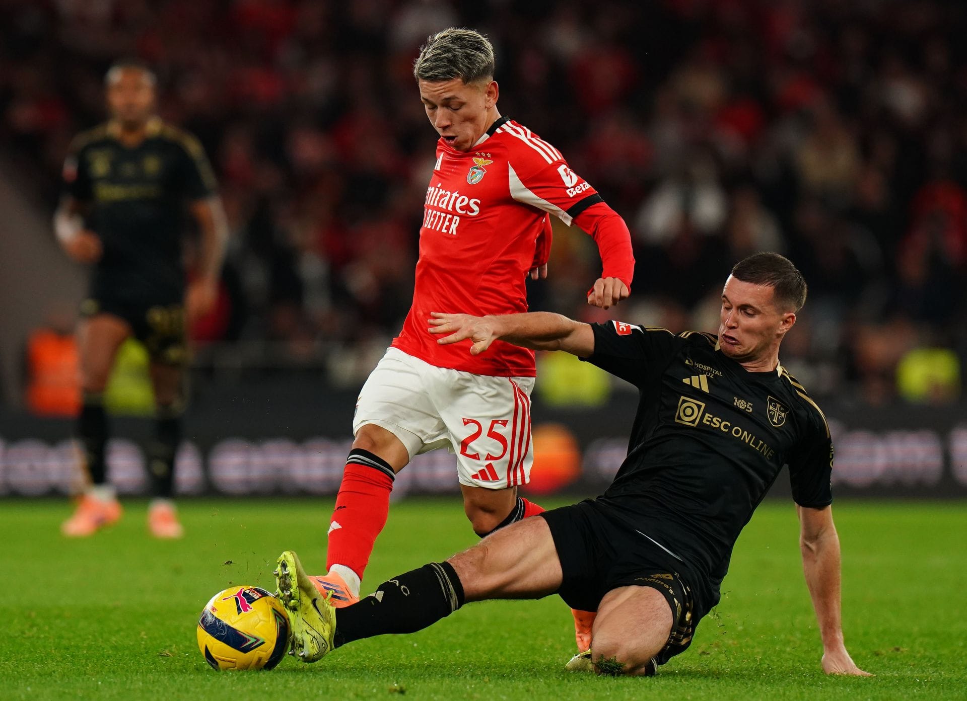 Casa Pia vs Benfica Prediction and Betting Tips | August 17th 2026