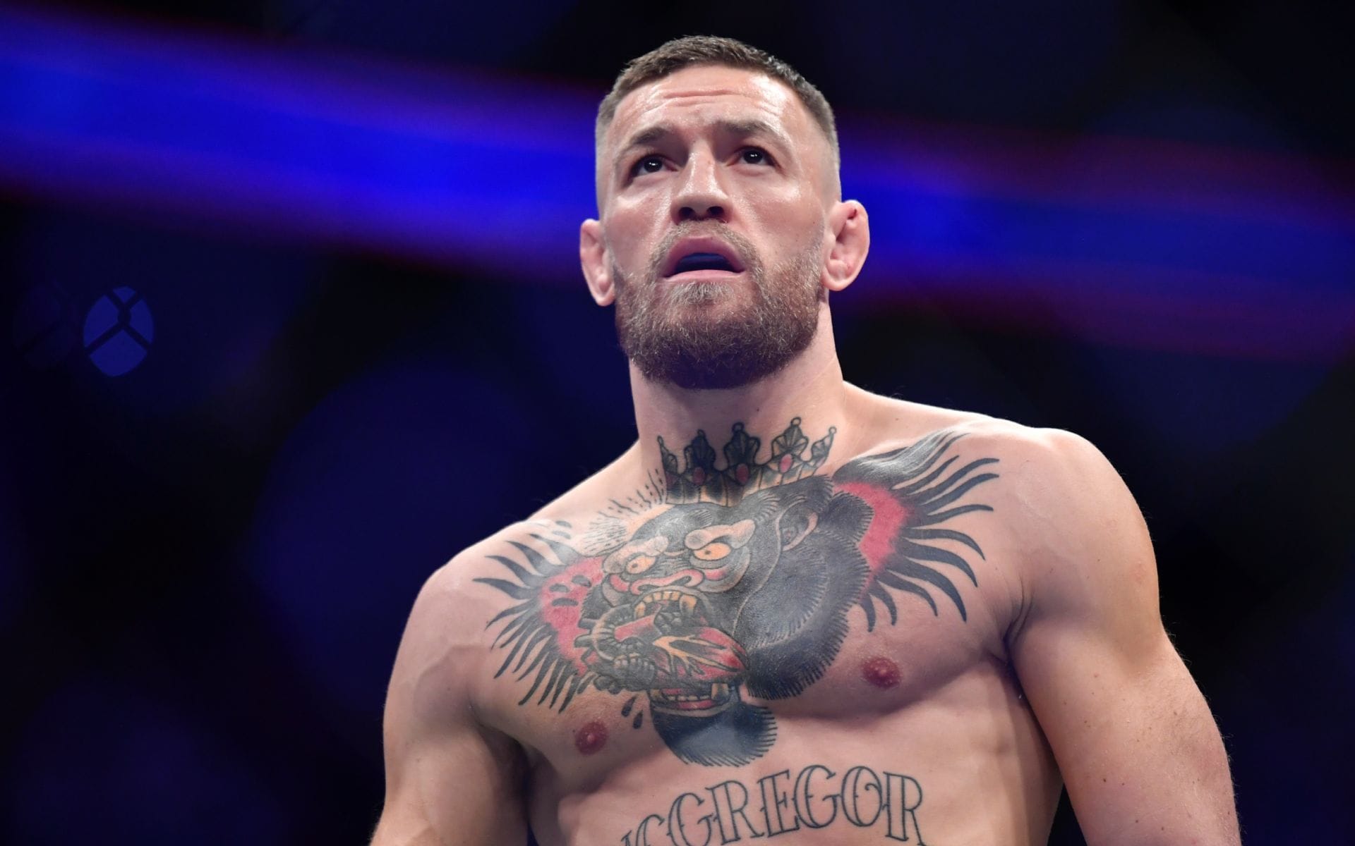 "Take it easy, Brad" - Conor McGregor ends sobriety "in support" of Hollywood icon Brad Pitt weeks after brutal UFC 329 loss