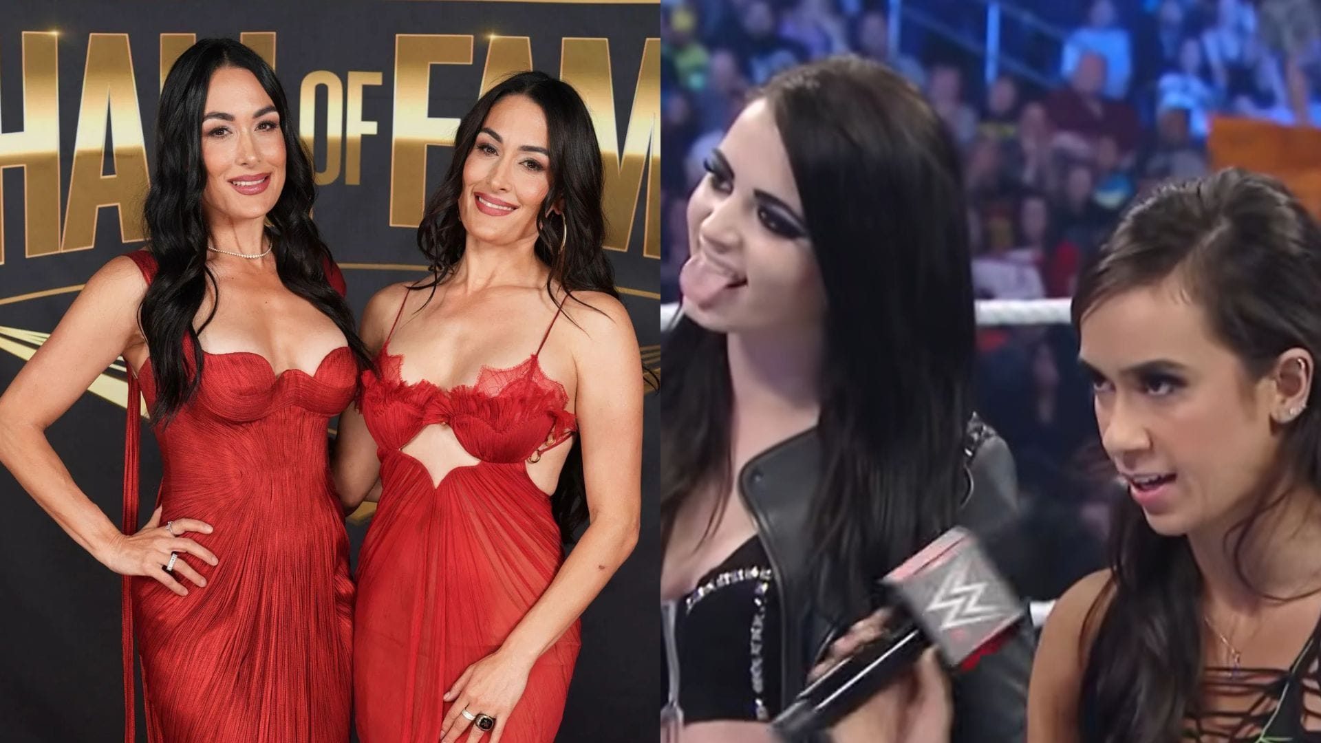 REPORT: AJ Lee Status For Paige-Nikki Bella Feud After Brie Bella Injury