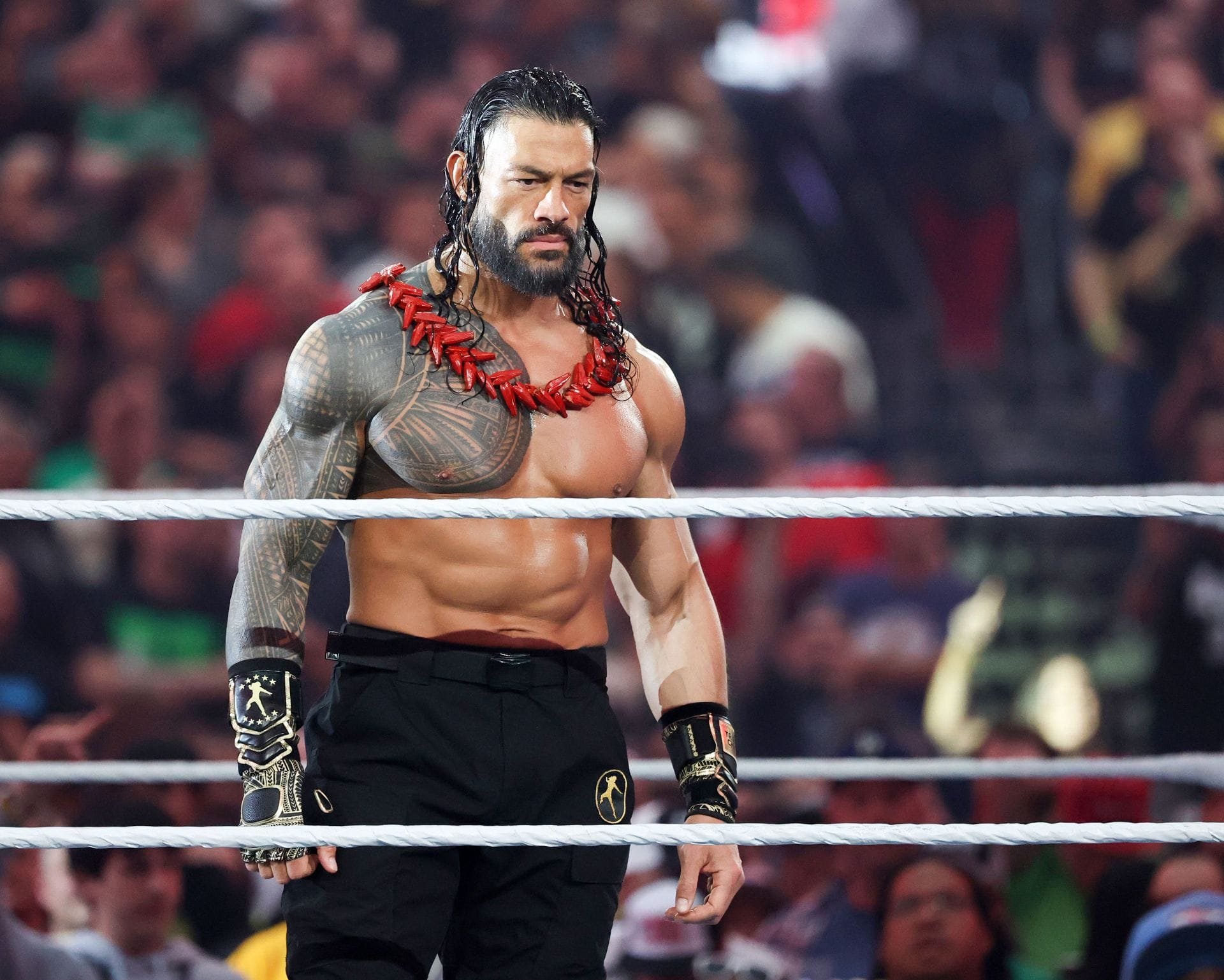 Female ex-WWE personality doesn't hold back & takes a massive shot at Roman Reigns 