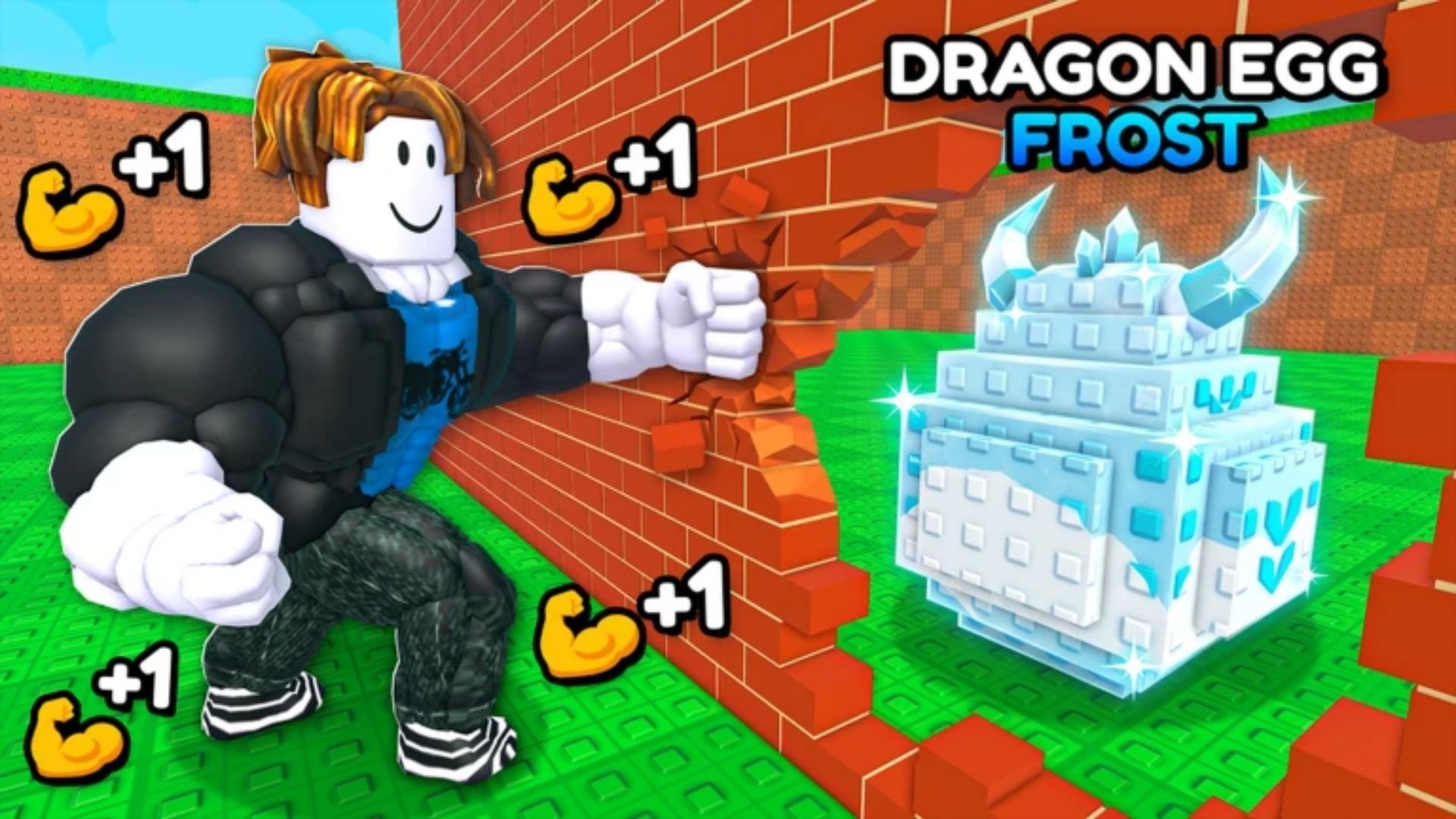 All Dumbbells in +1 Strength for Eggs 