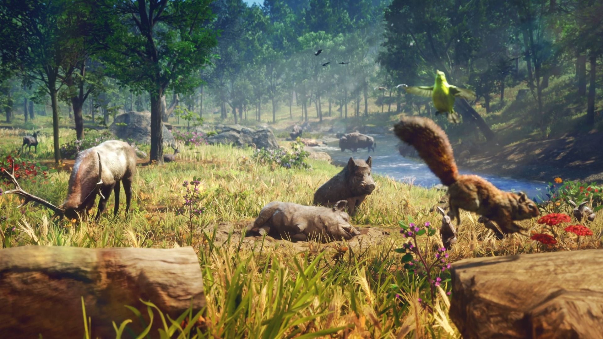 GTA 6 will feature over 170 animal species, including 60+ birds and 30 ...
