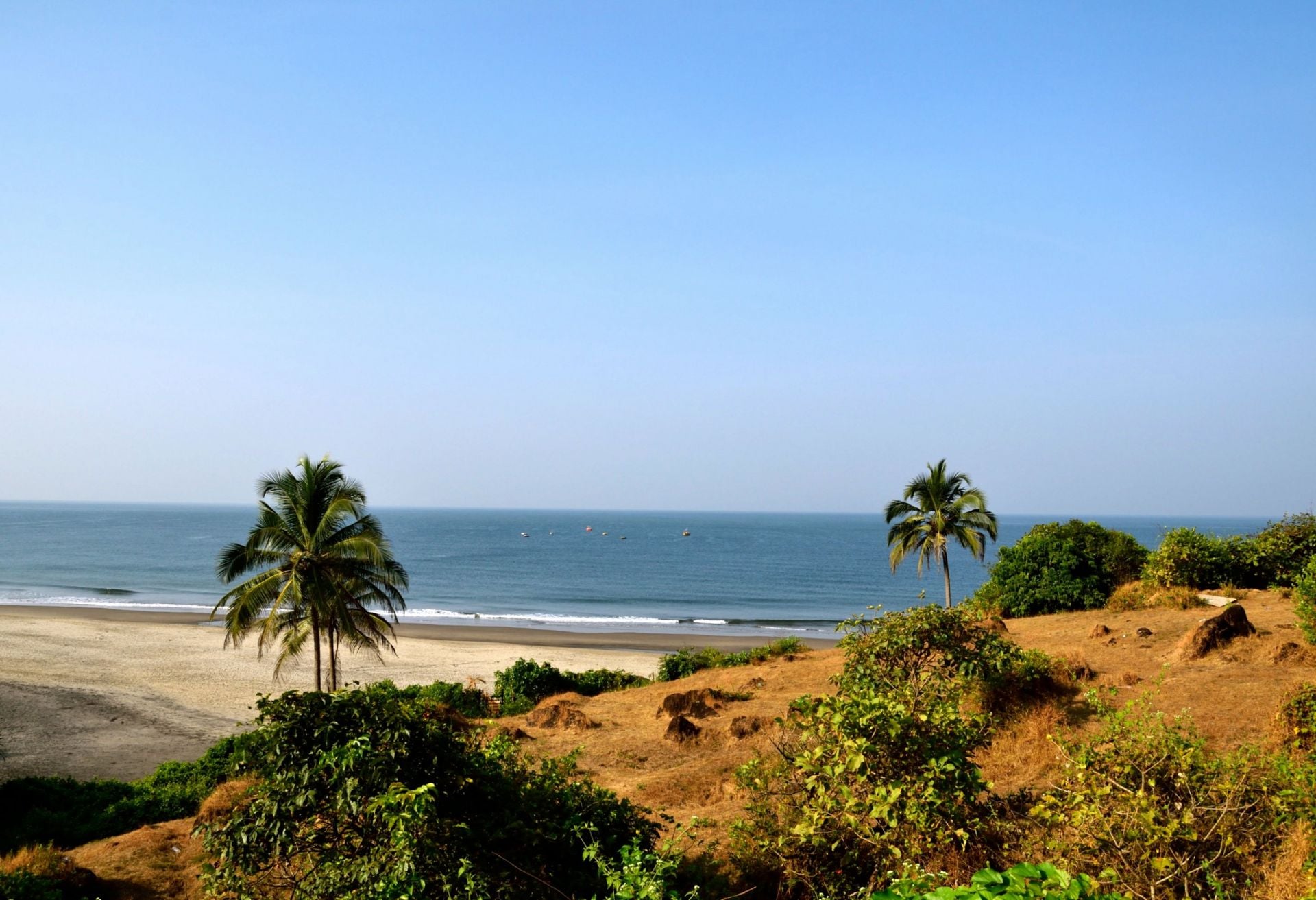 3 times the IPL auction was held in famous tourist destinations in India ft. Goa, 2009