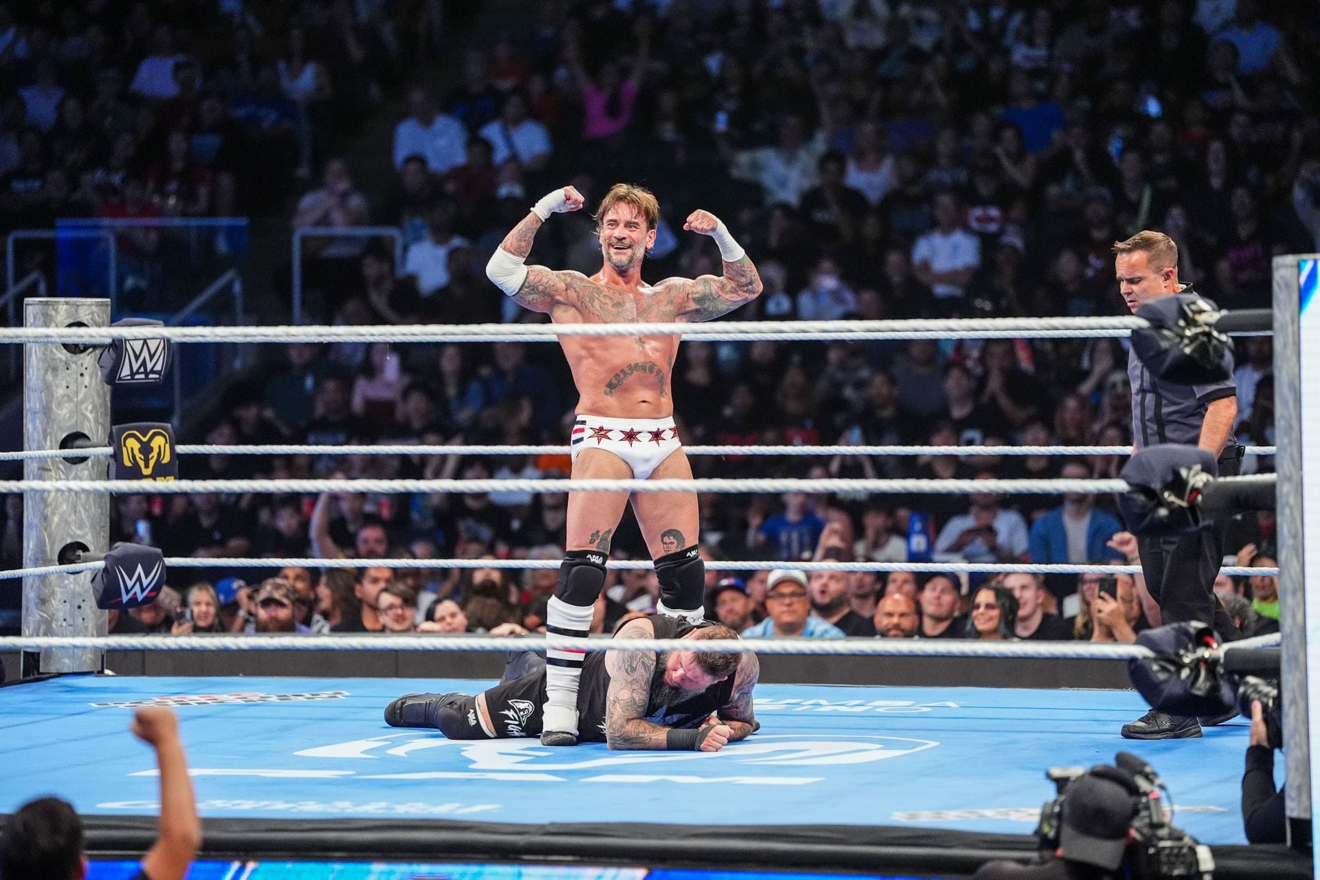 "This Is Going To Hurt In The Best Way" - CM Punk Makes Statement After Special WWE Announcement