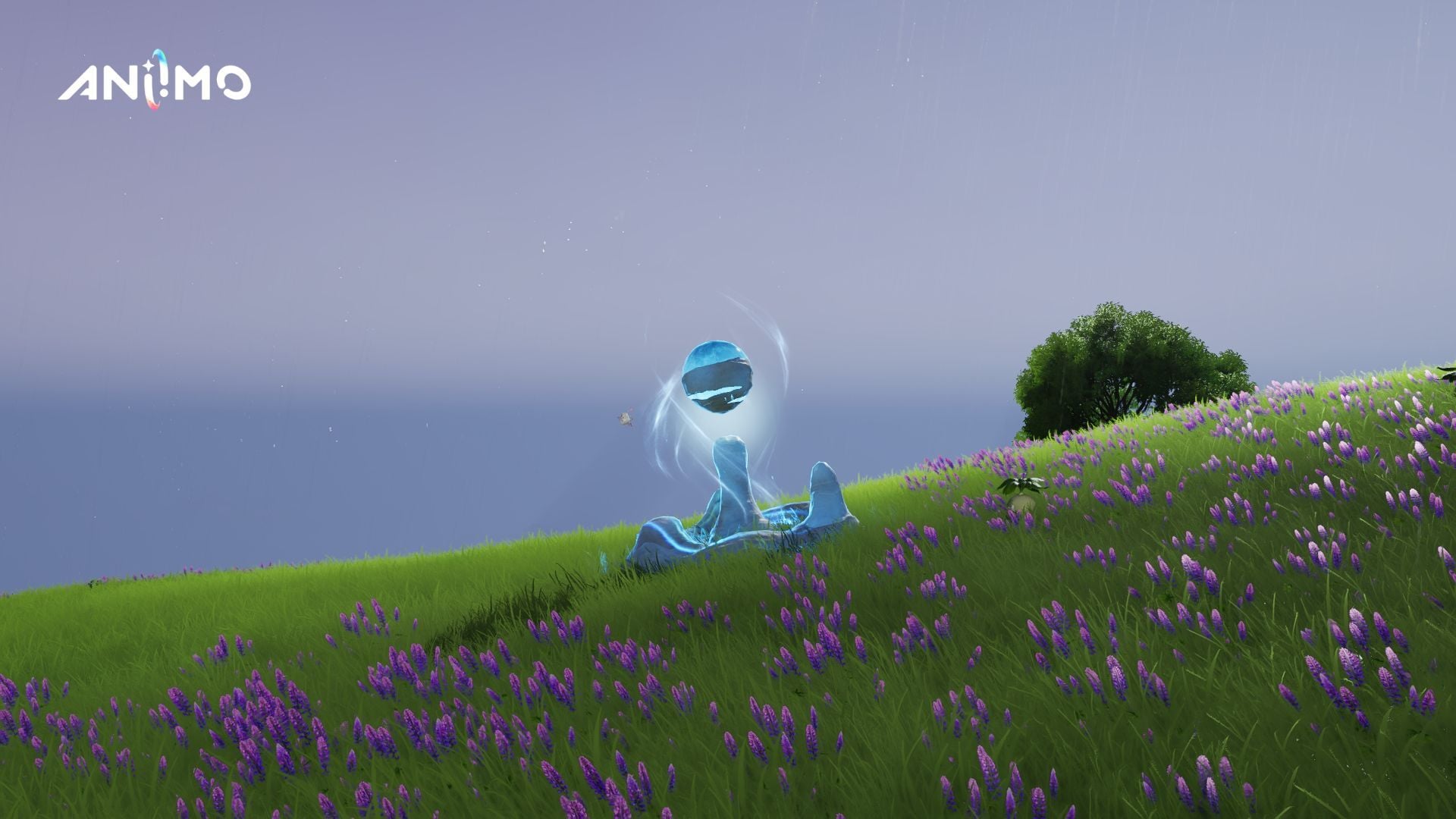 All Morphling's Memory locations in Aniimo