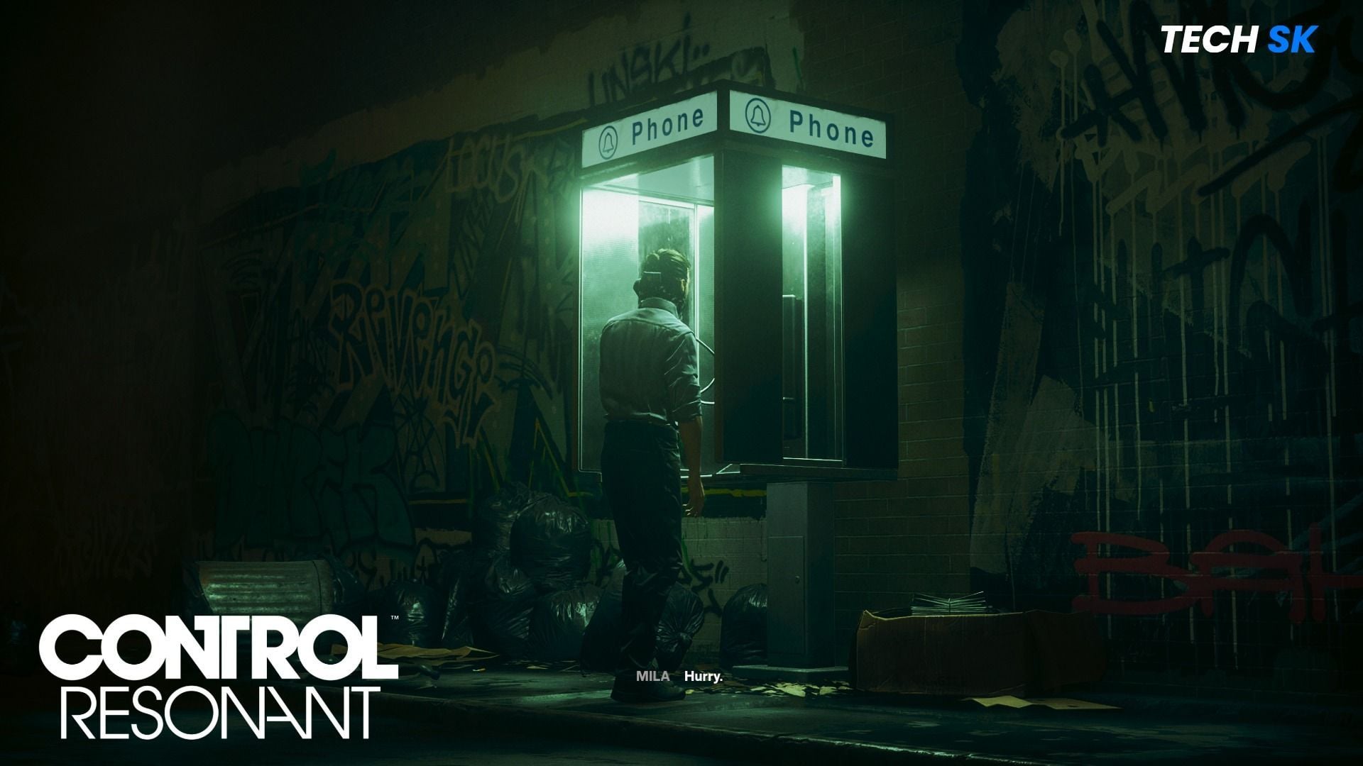 Computer Audit Controls Control Resonant crashing on PC error: Possible fixes explored
