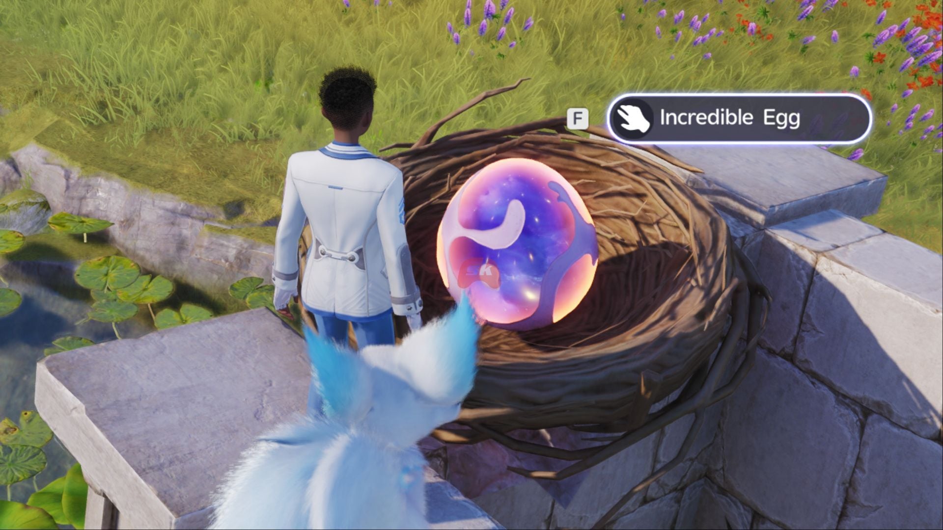 Aniimo Egg Hatching Guide