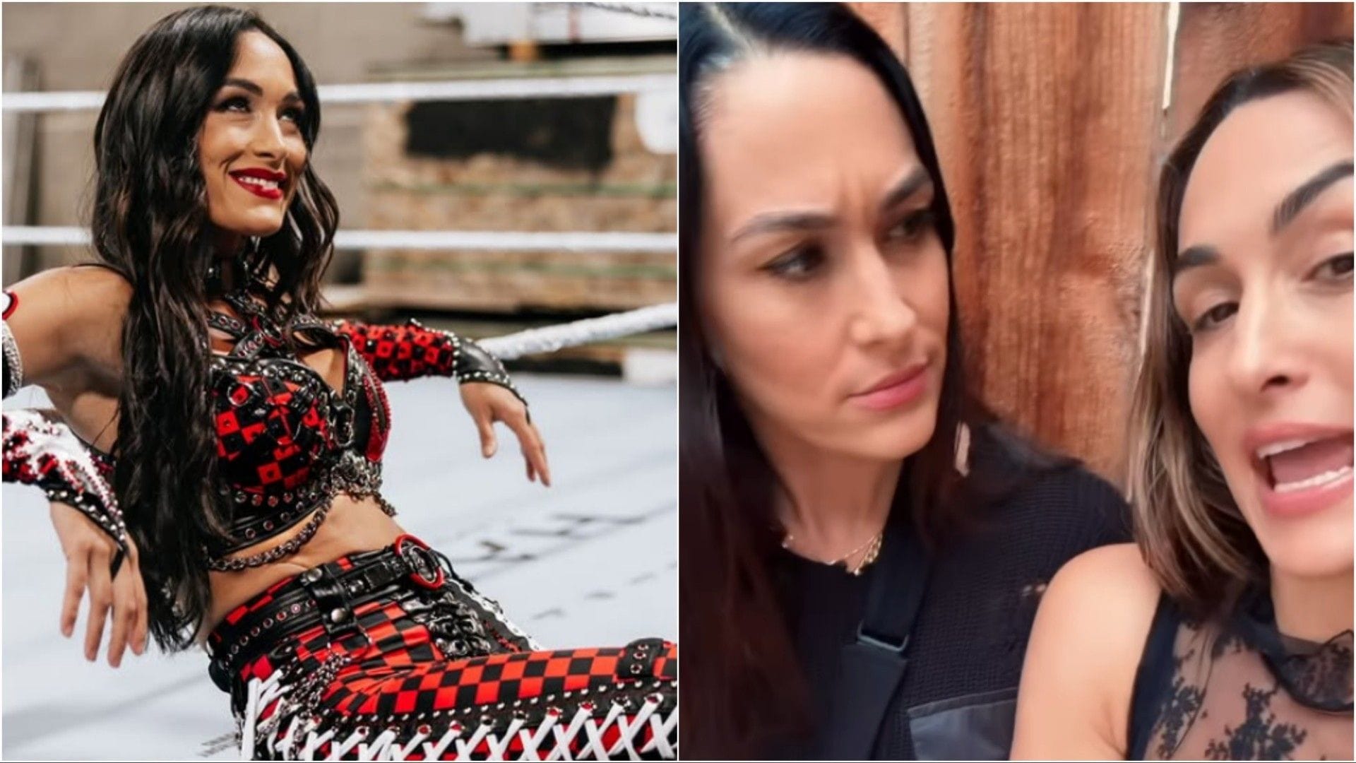 Brie Bella Hints At Potential Issues With Nikki Bella Amid WWE Hiatus