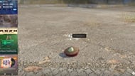 Hatching chicken eggs in CS2 (Image via Valve Corporation)