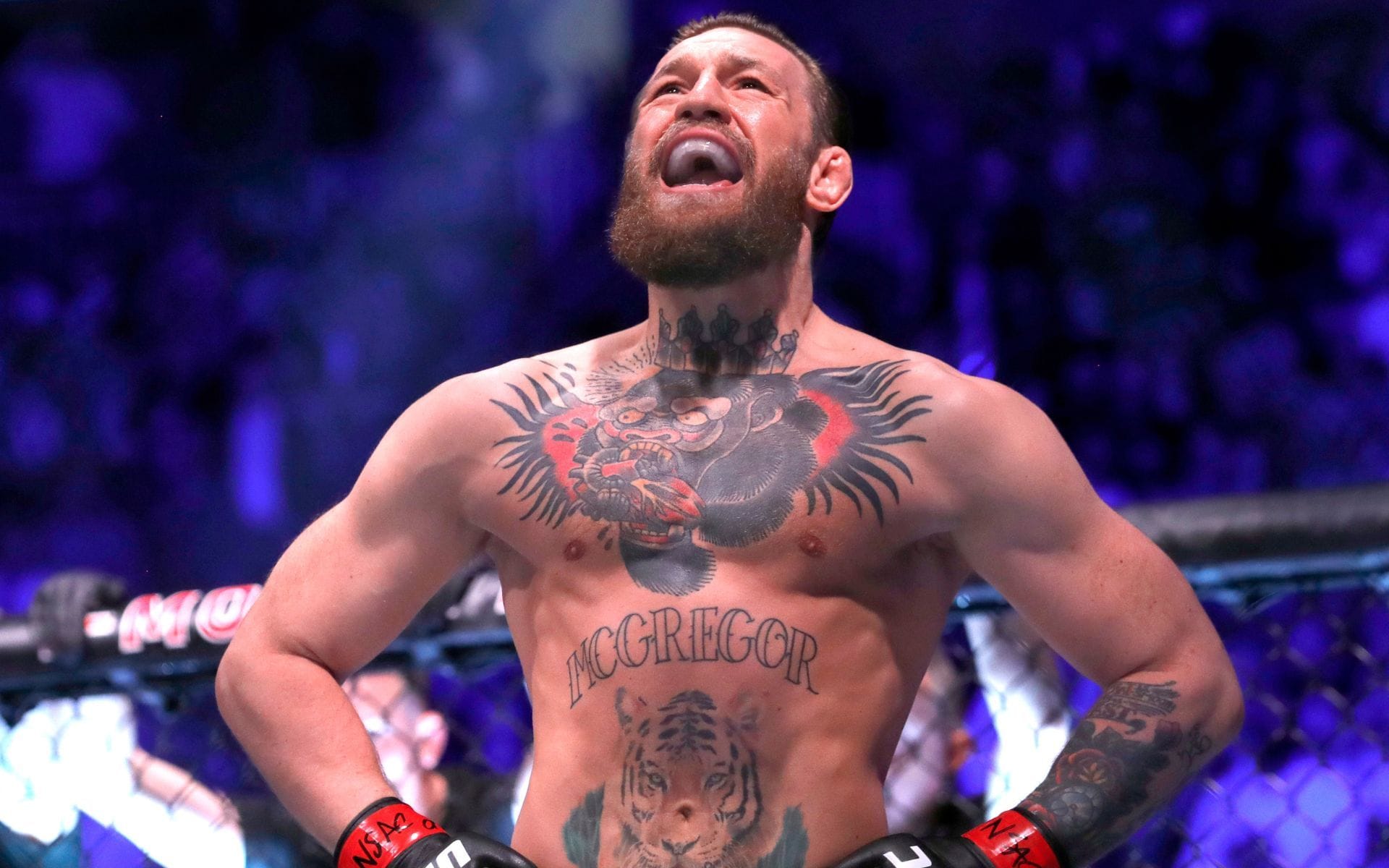 Conor McGregor seconds UFC newcomer's bold take on MMA fighters