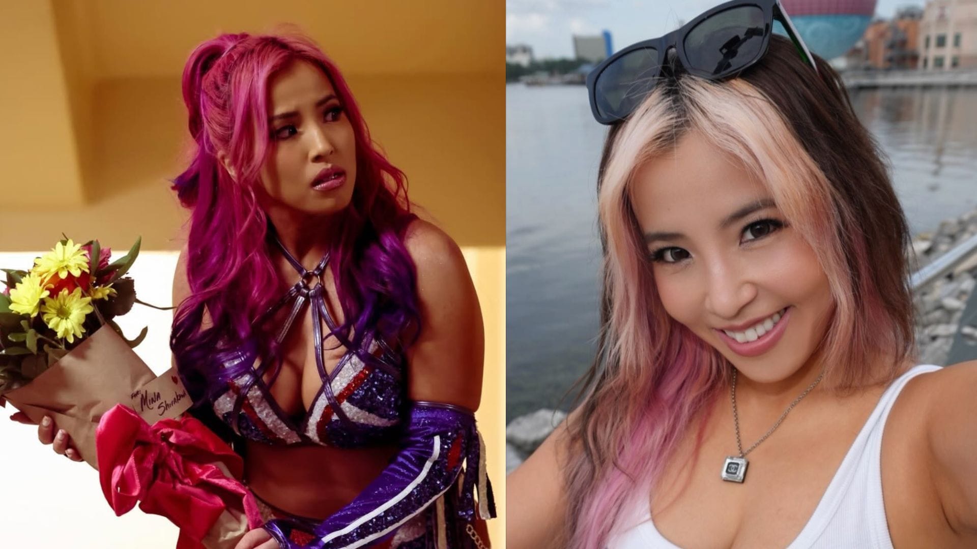 Personal Update: AEW Star Mina Shirakawa