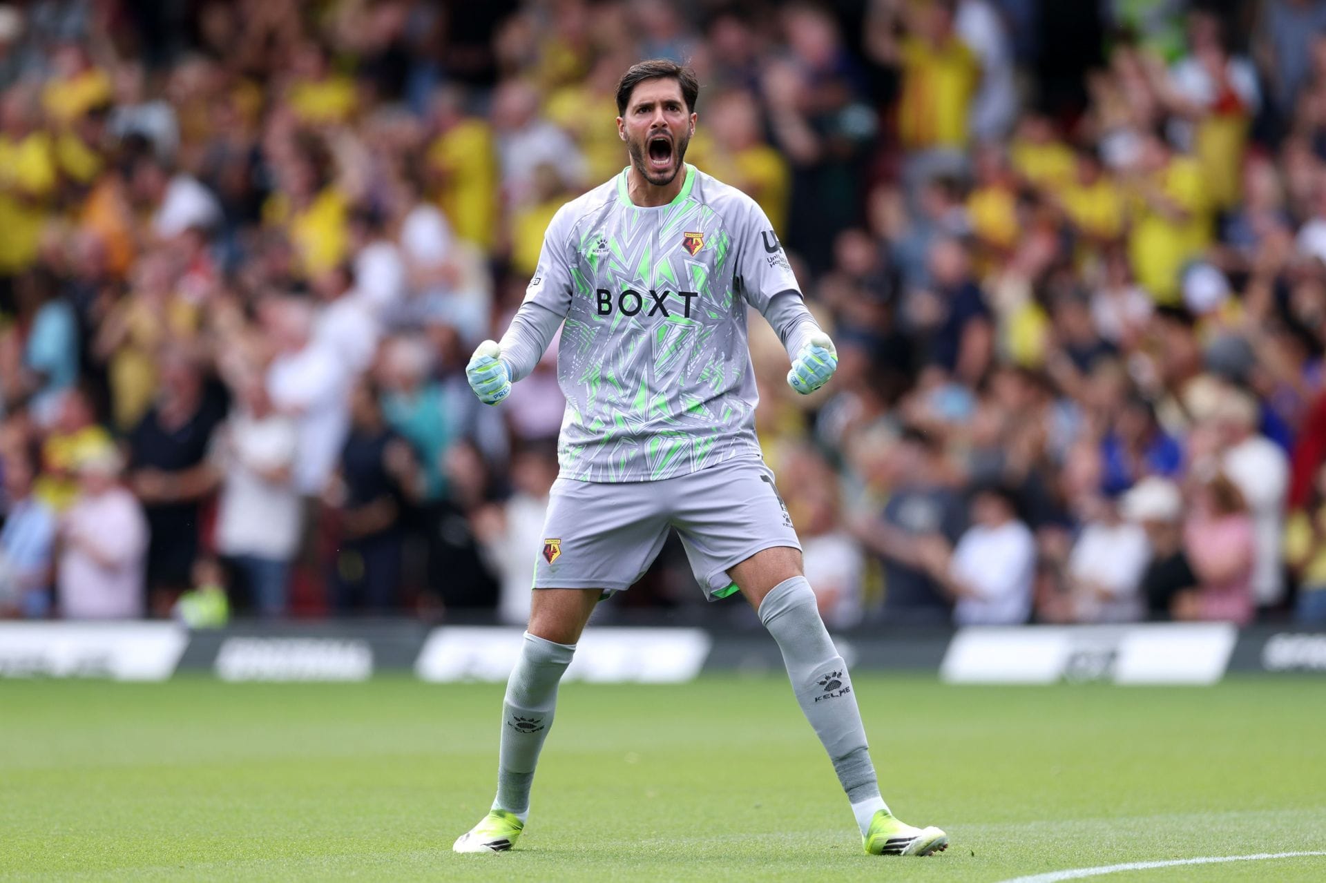 Watford vs Preston North End Prediction and Betting Tips | September 8th 2026