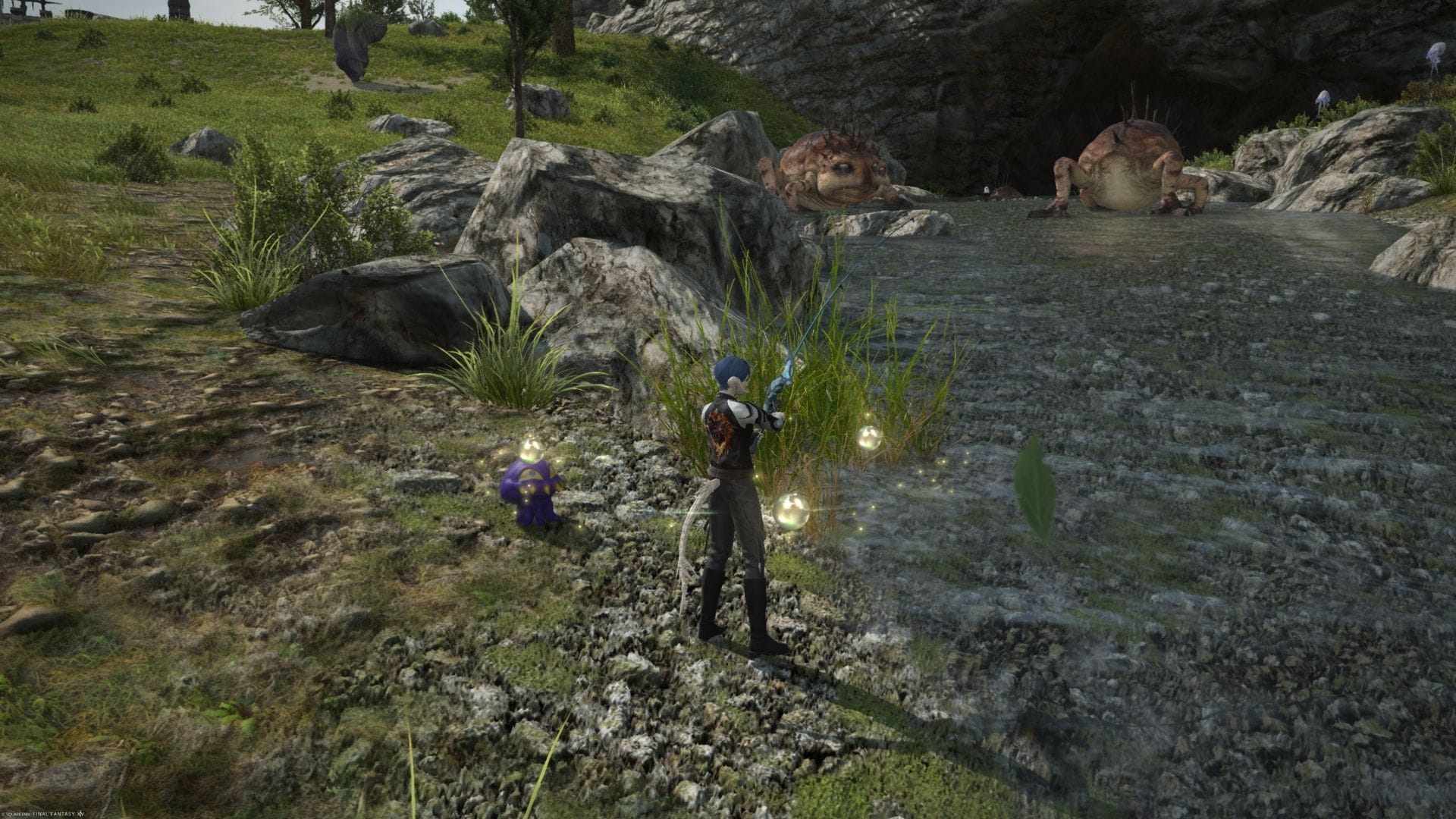 How to catch a Caterwauler in Final Fantasy XIV
