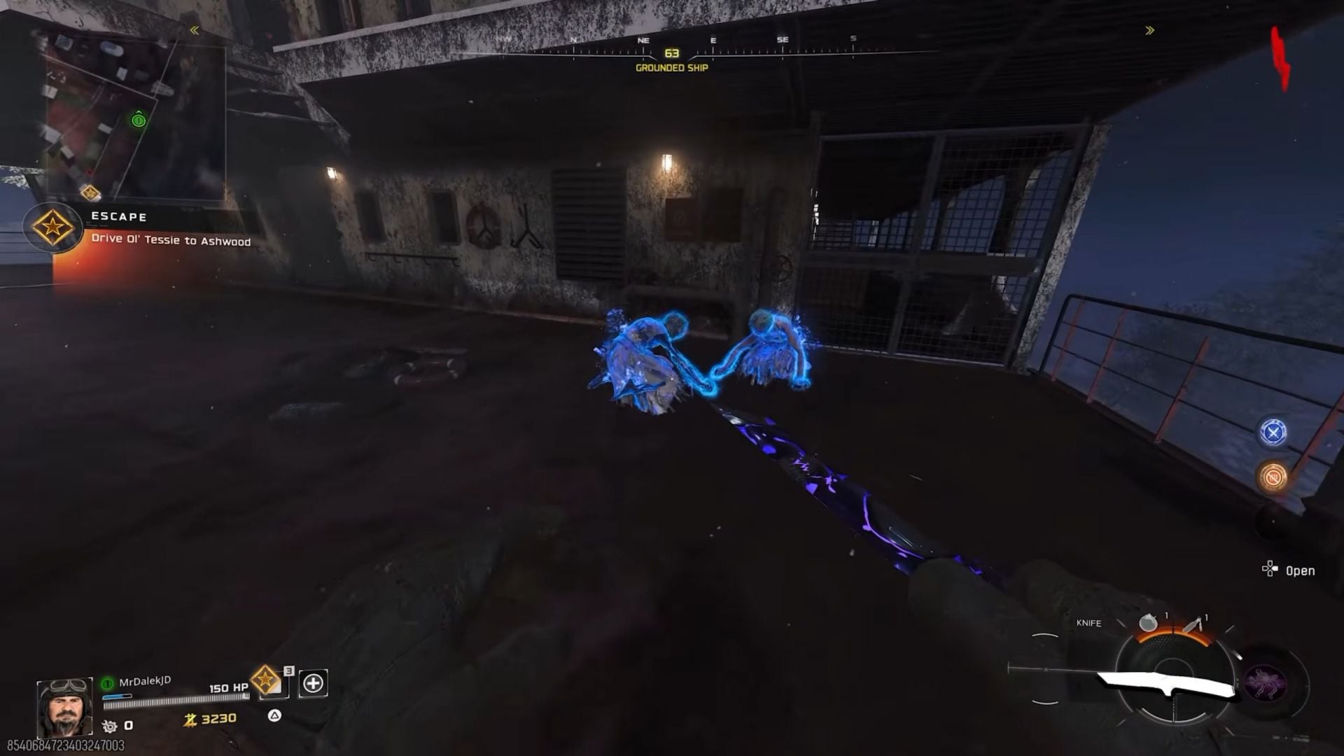 Twins on the Grounded Ship (Image via Activision || YouTube/@MrDalekJD)