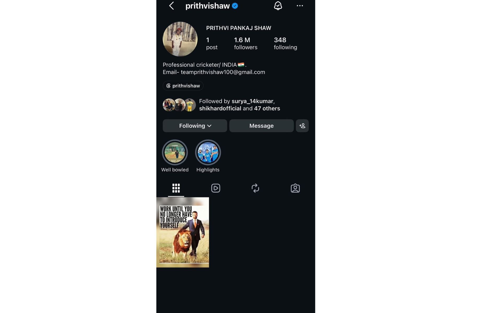Screenshot of Prithvi Shaw's Instagram profile. (Image via - @prithvishaw)