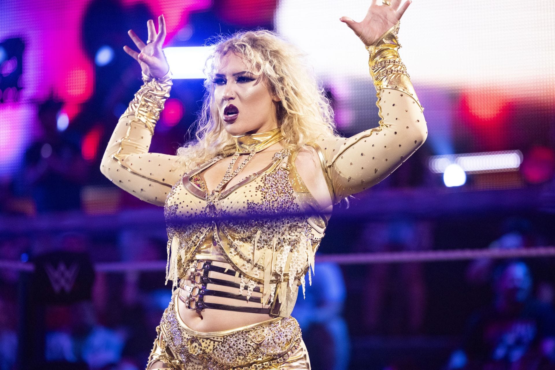 WWE Superstar Questions Nikkita Lyons' "everyone can suck it" Message As Non-PG