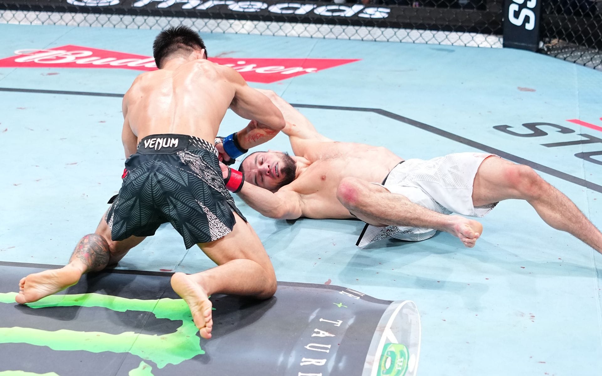 “He [was] just surprised I ran towards him" - Song Yadong gives honest take on Usman Nurmagomedov's actions after Umar Nurmagomedov's KO loss
