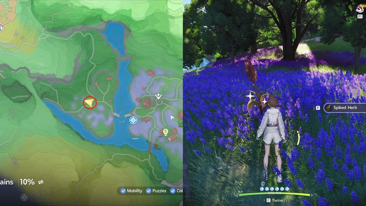 Spike Studio All Aniimo Spiked Herb locations