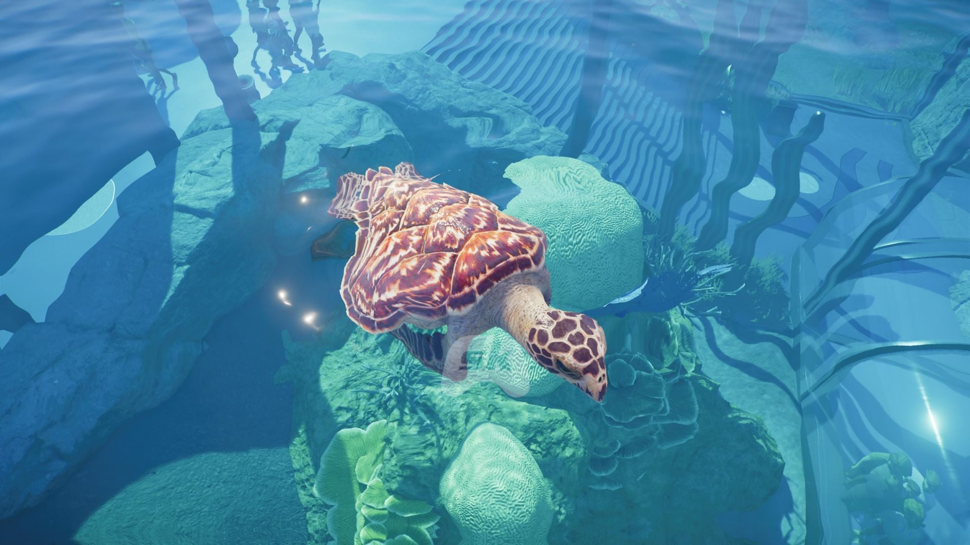 Planet Zoo 2 review